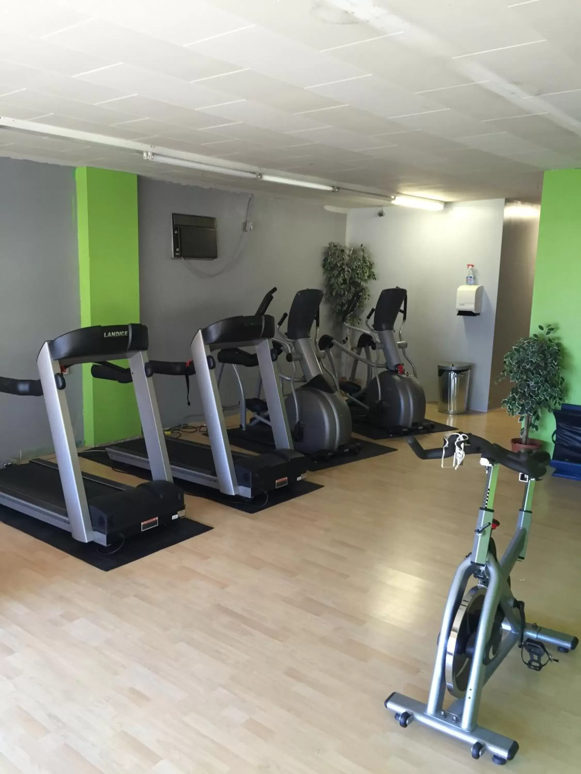 Fitness centre/facilities, Fitness Center/Facilities in Altona Hotel