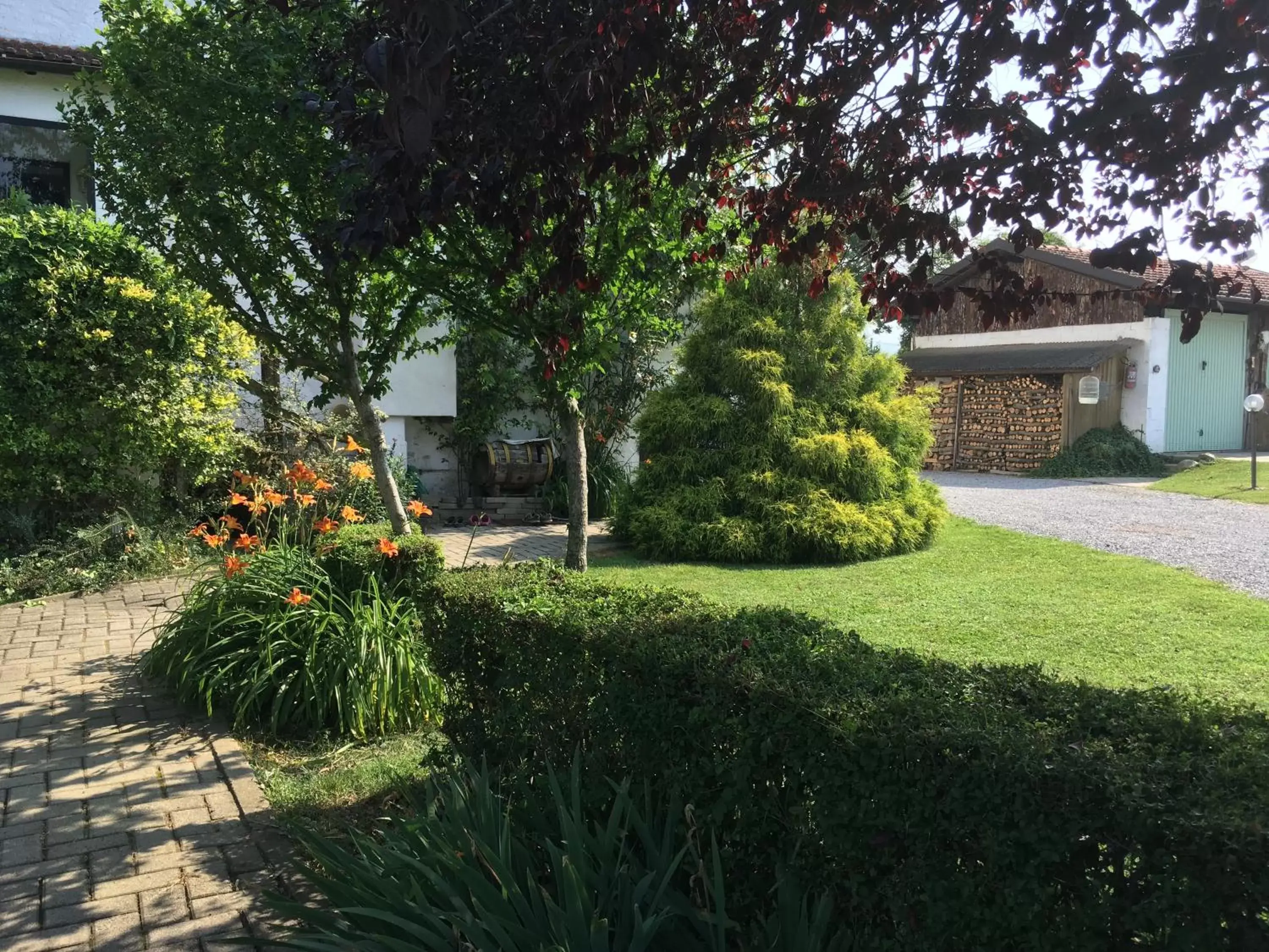 Property building, Garden in B&B CM Ranch