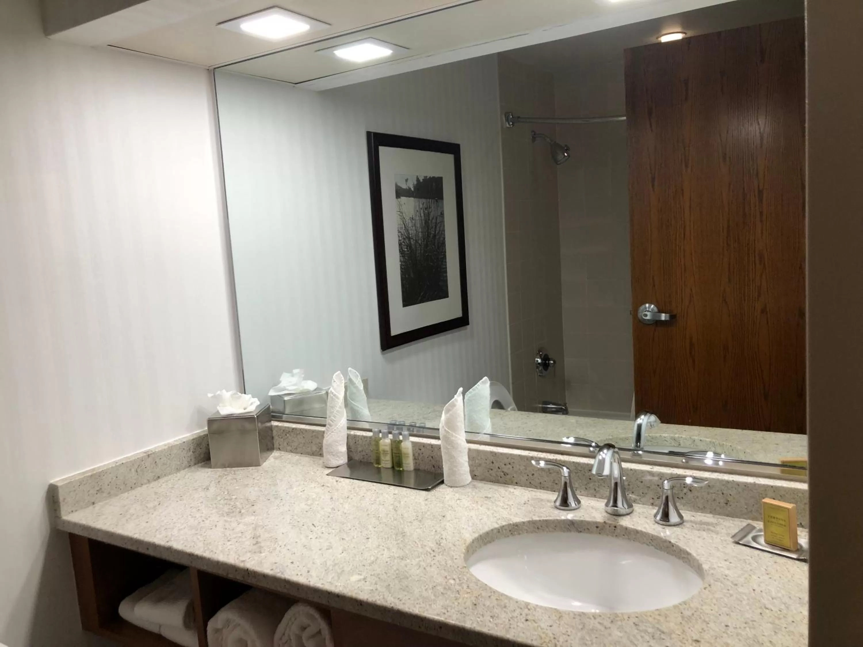 Bathroom in Wyndham Garden Buffalo Downtown