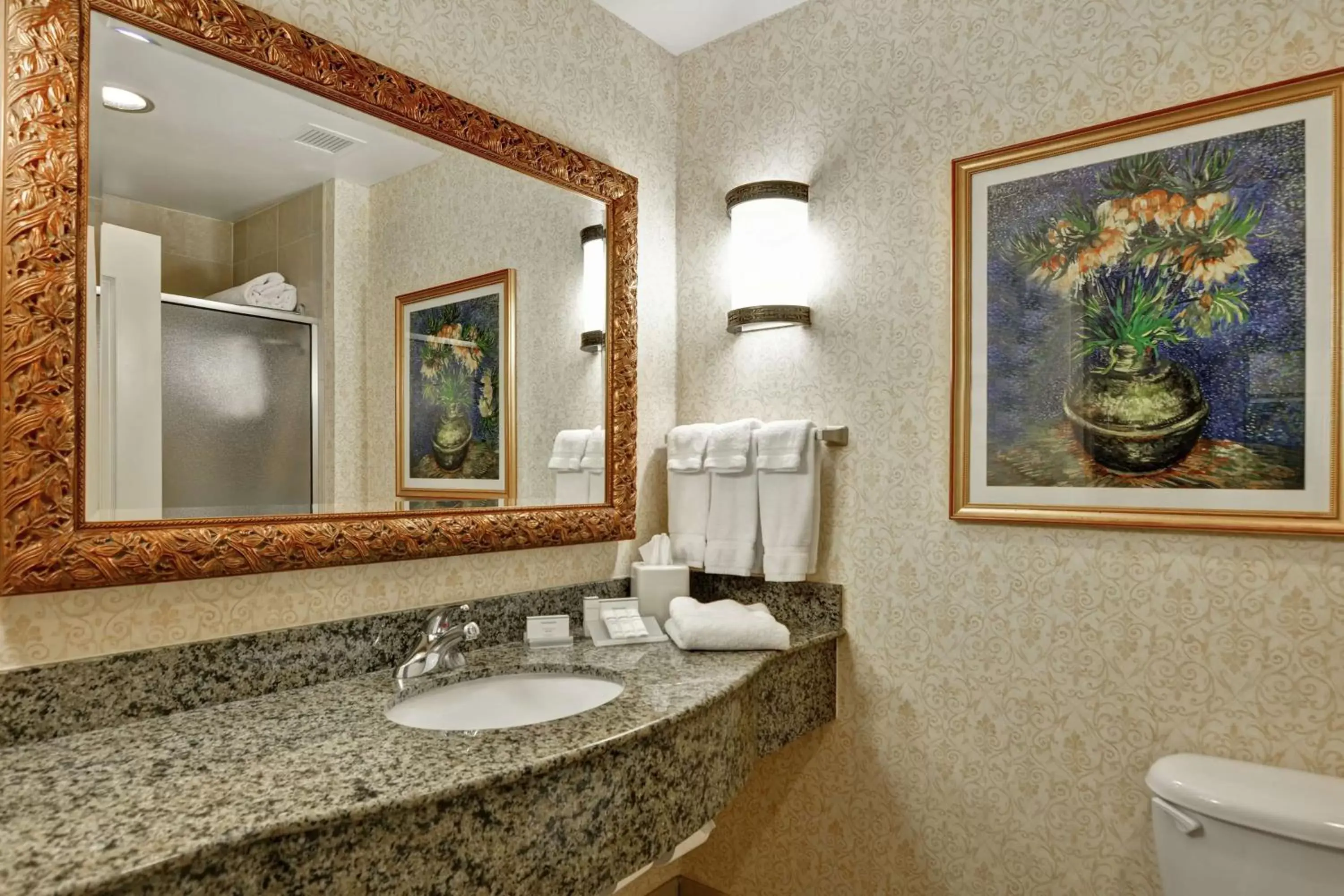 Bathroom in Hilton Garden Inn Amarillo