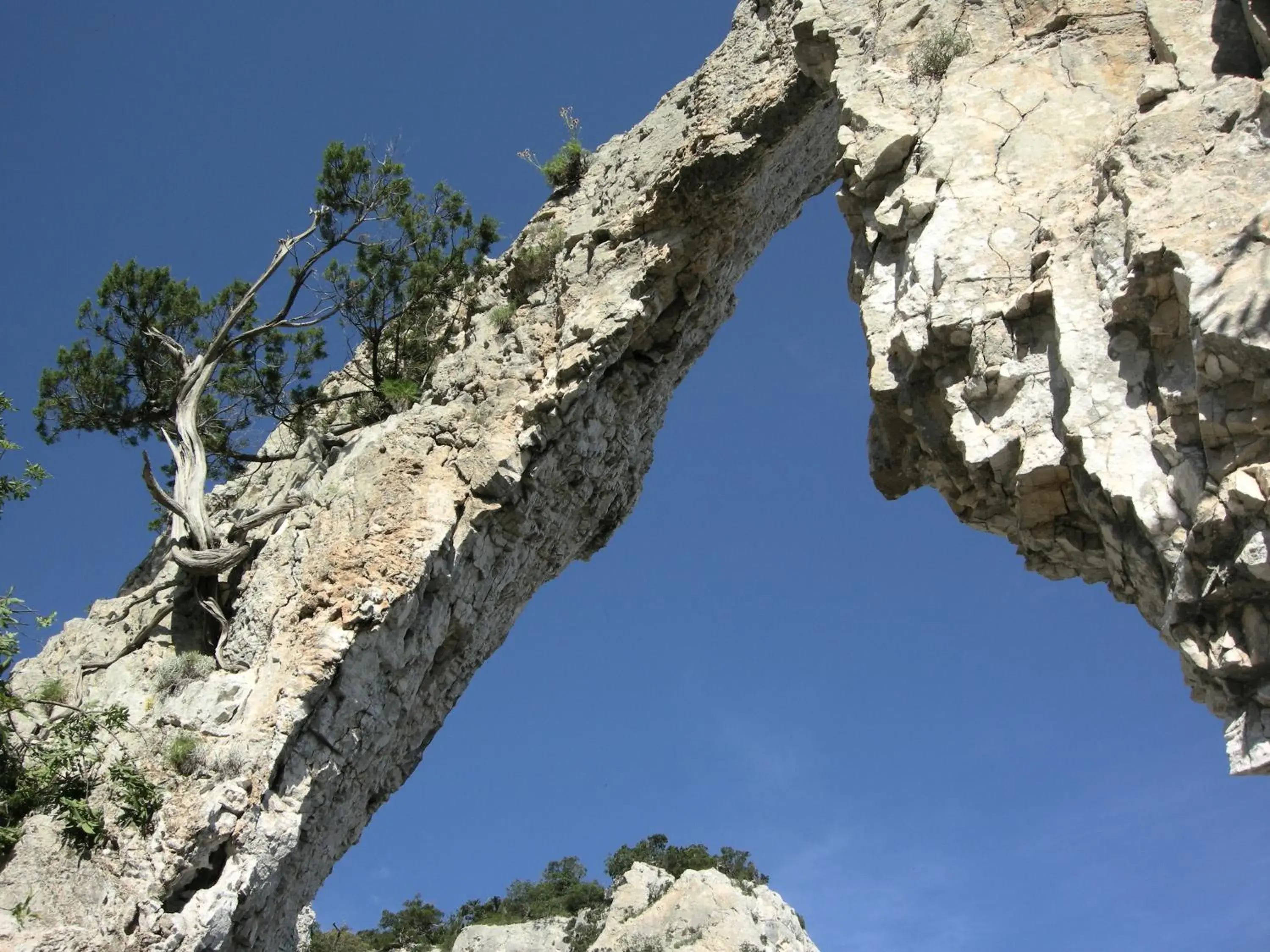 Other, Natural Landscape in Turismo Rurale Belvedere Pradonos