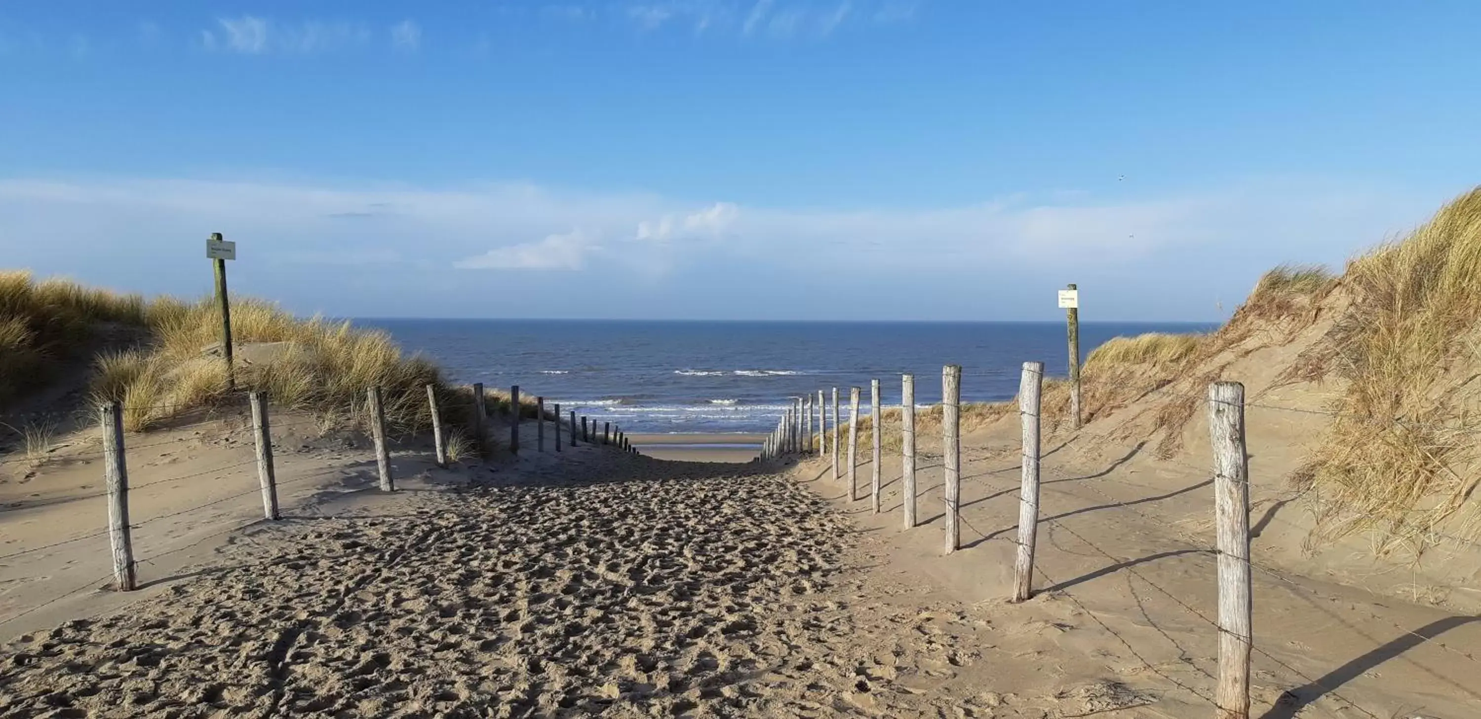 Beach in B&B Het Ruime Sop