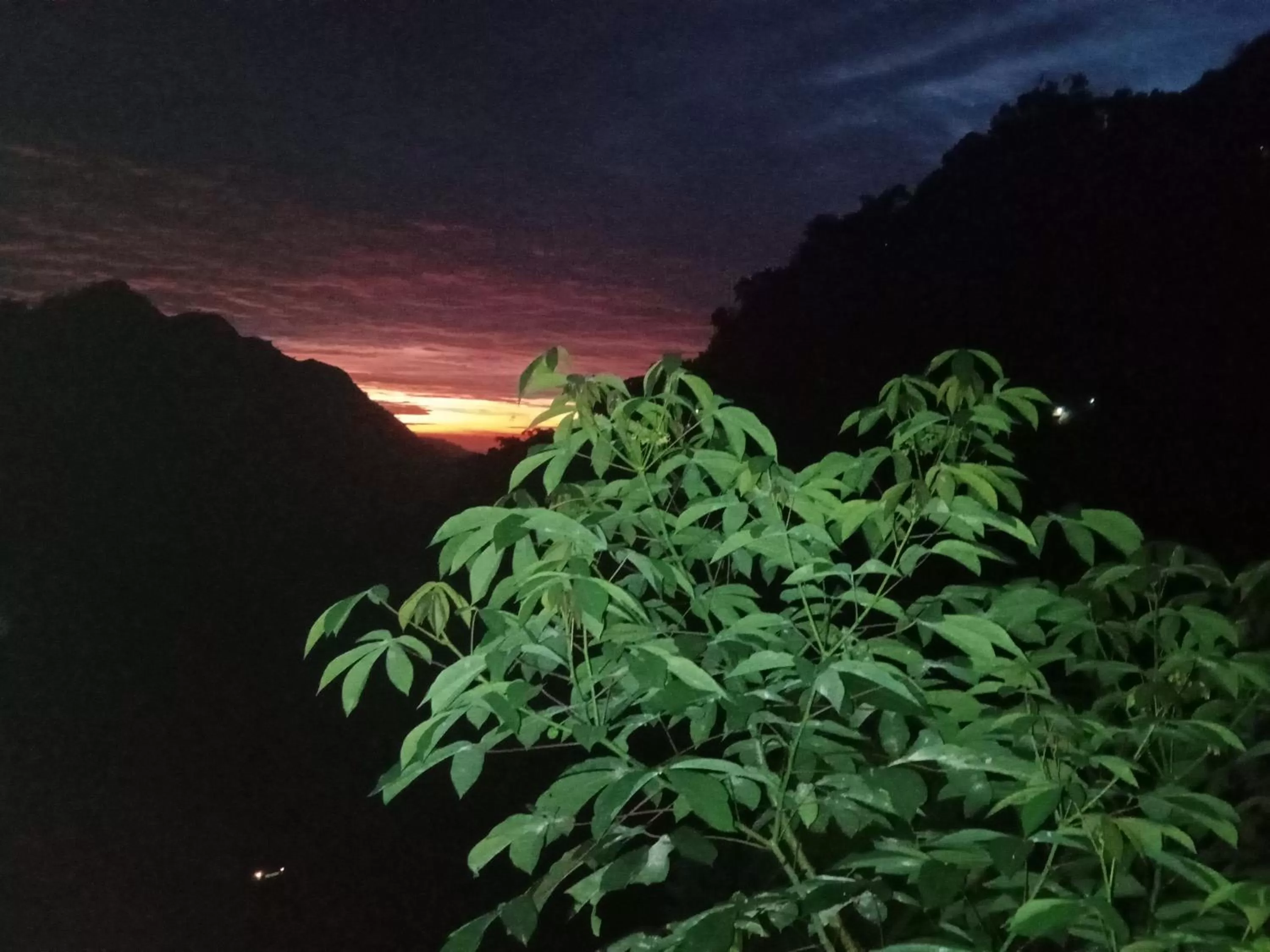 Ella Lucky Panoramic