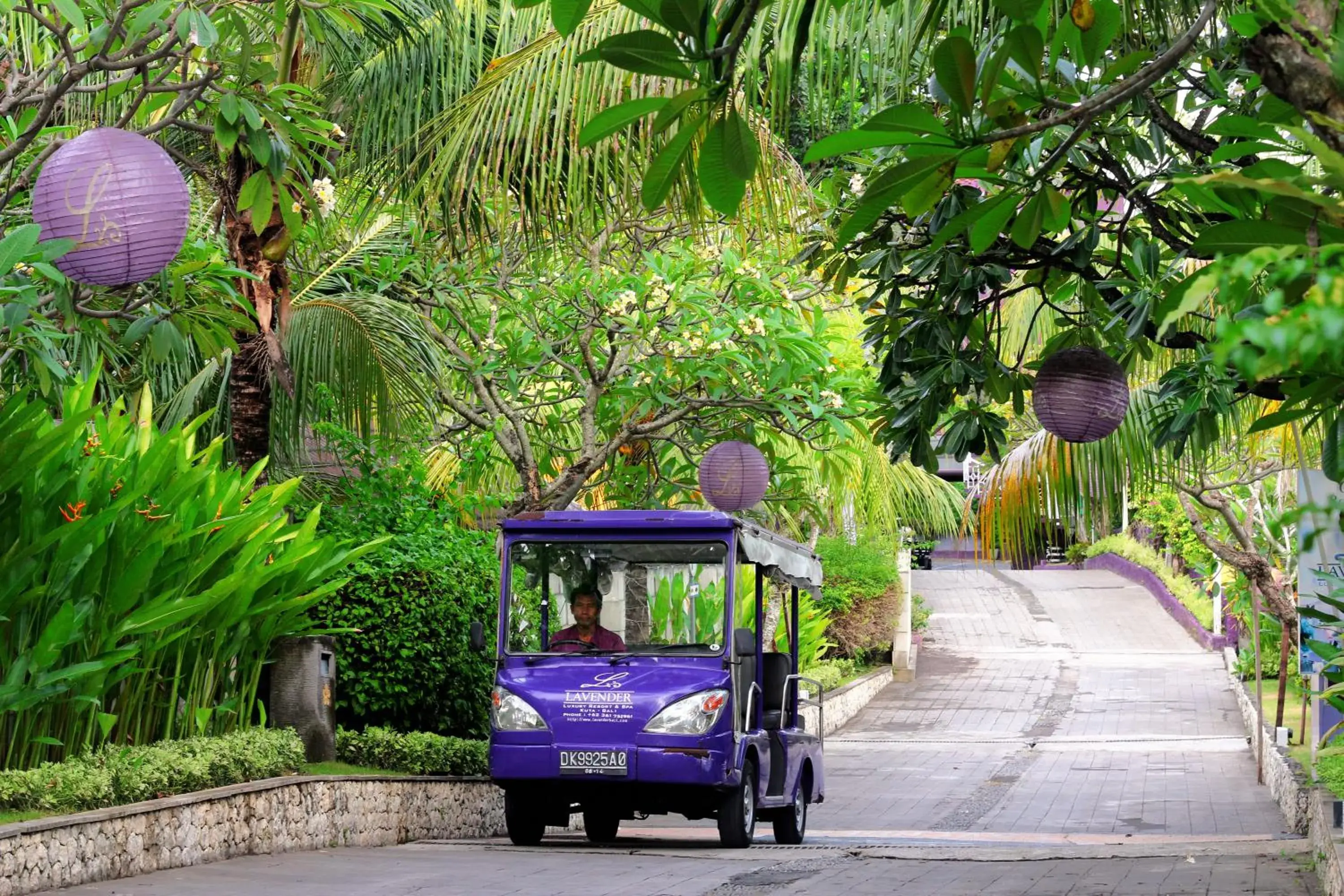 Bird's eye view in Lavender Villa & Spa