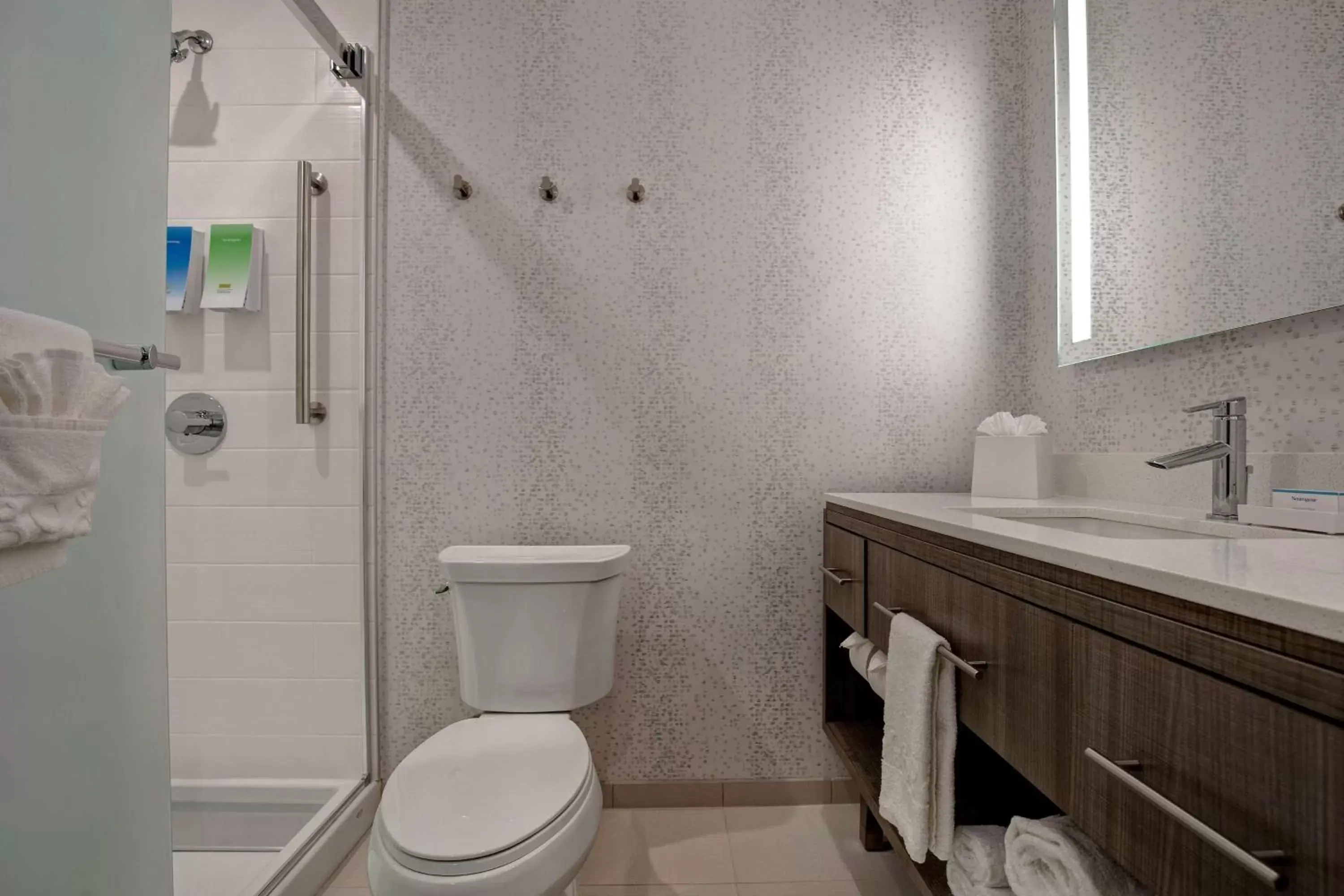 Bathroom in Home2 Suites By Hilton Lewisville Dallas