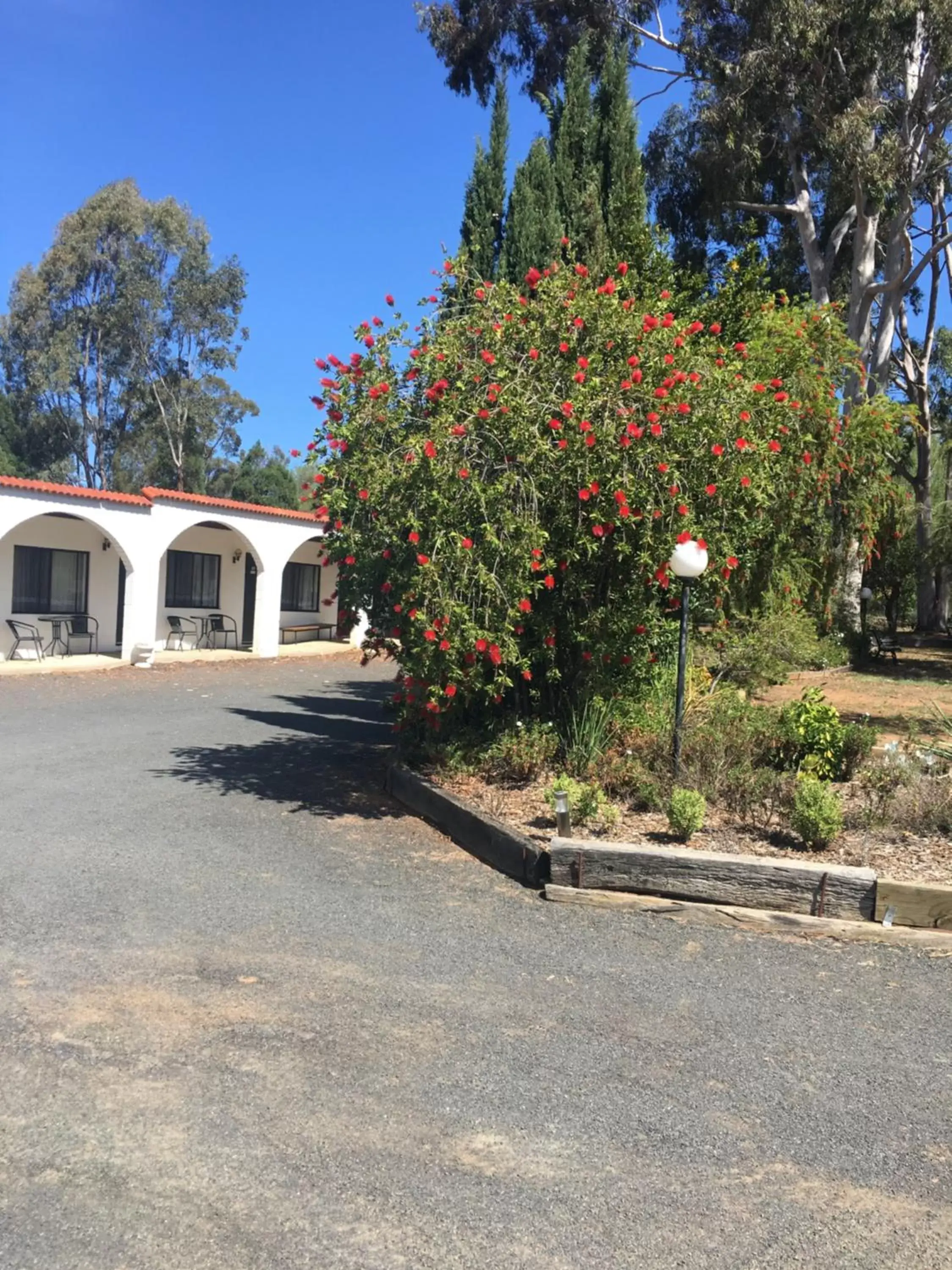 Garden view, Property Building in Azalea Motel