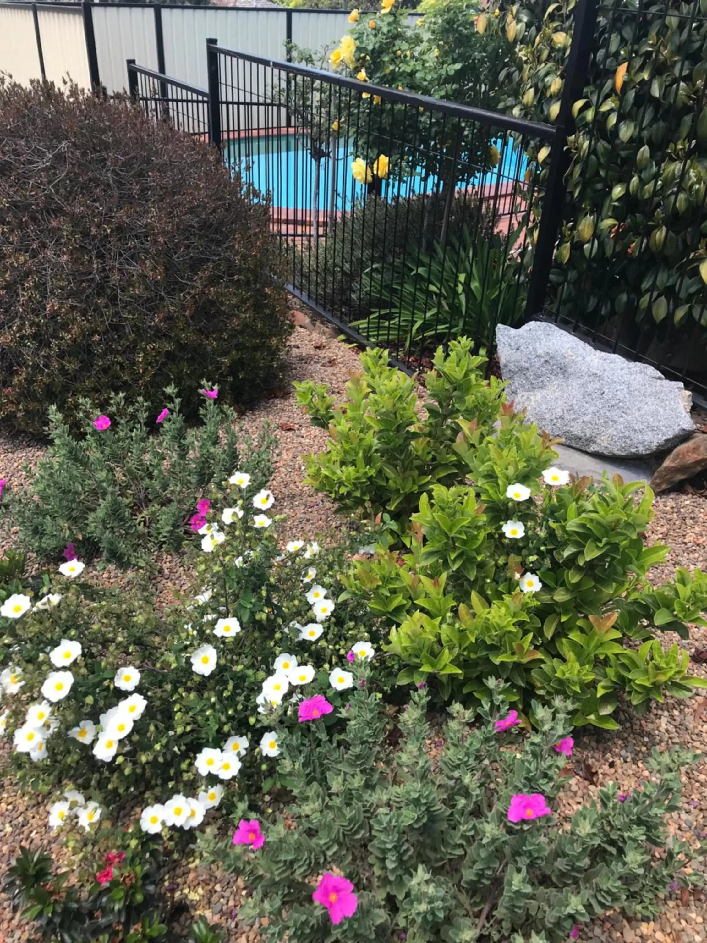 BBQ facilities, Garden in Hideaway Motor Inn