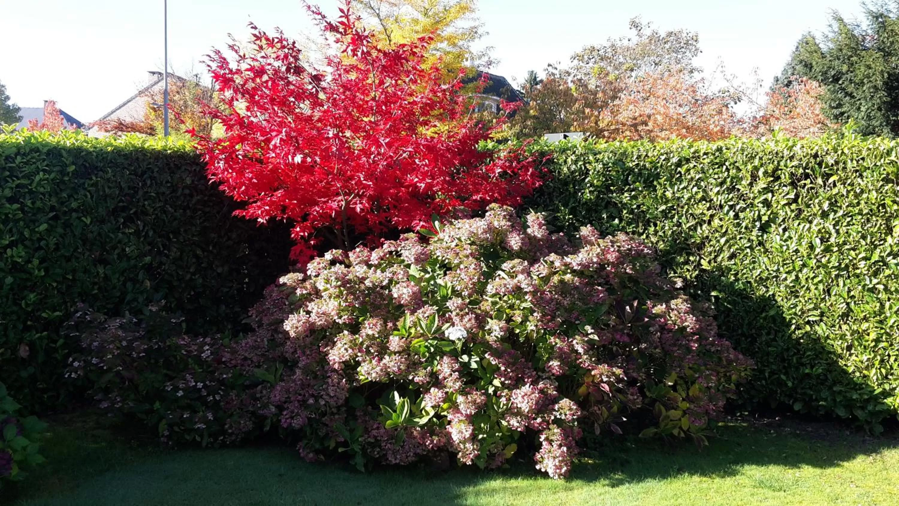 Garden in B&B prince d’Orange Waterloo