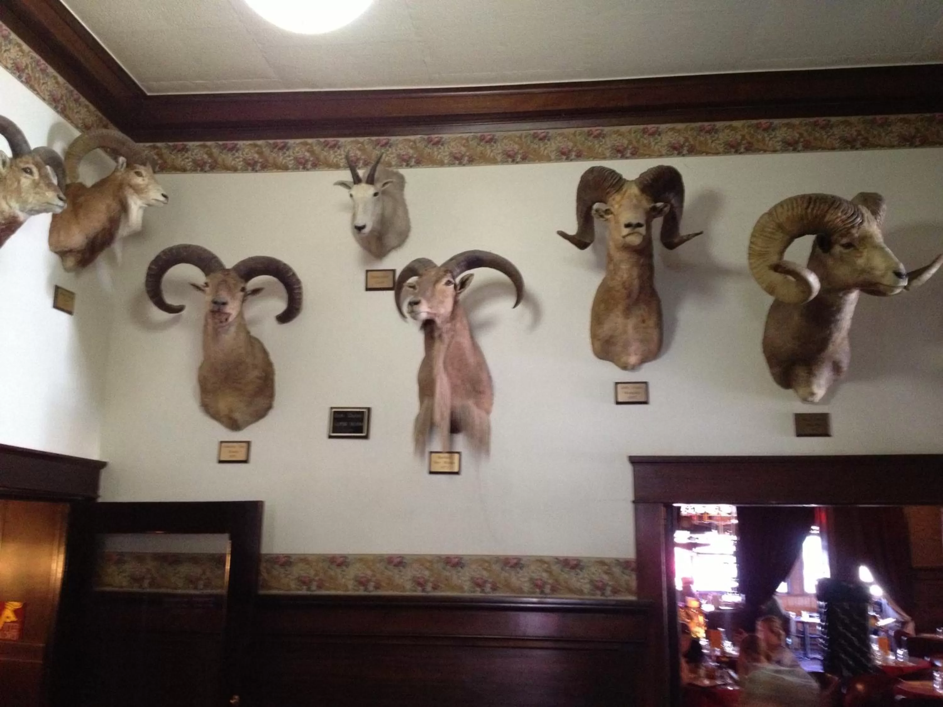 Decorative detail in Irma Hotel