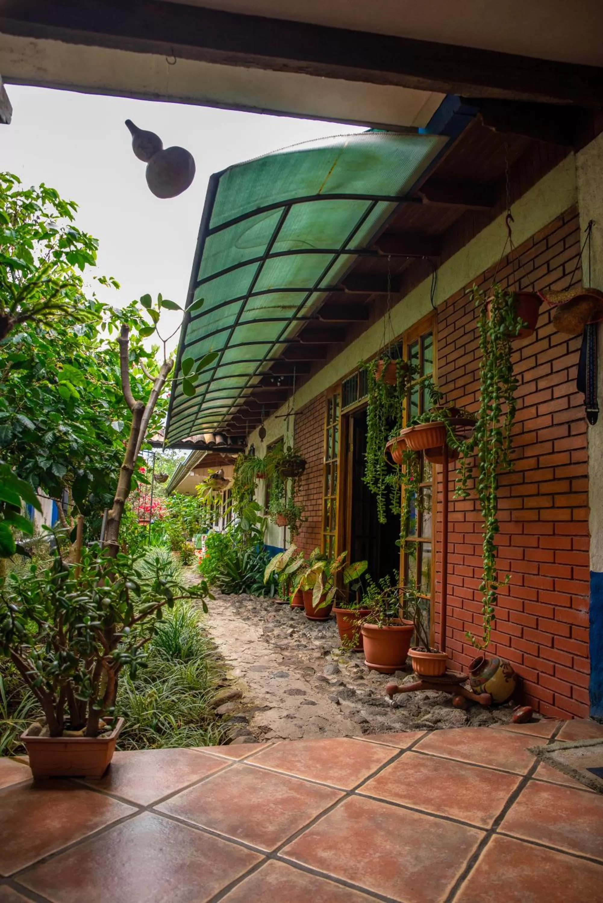 Garden in La Casa de Mamá Coyita