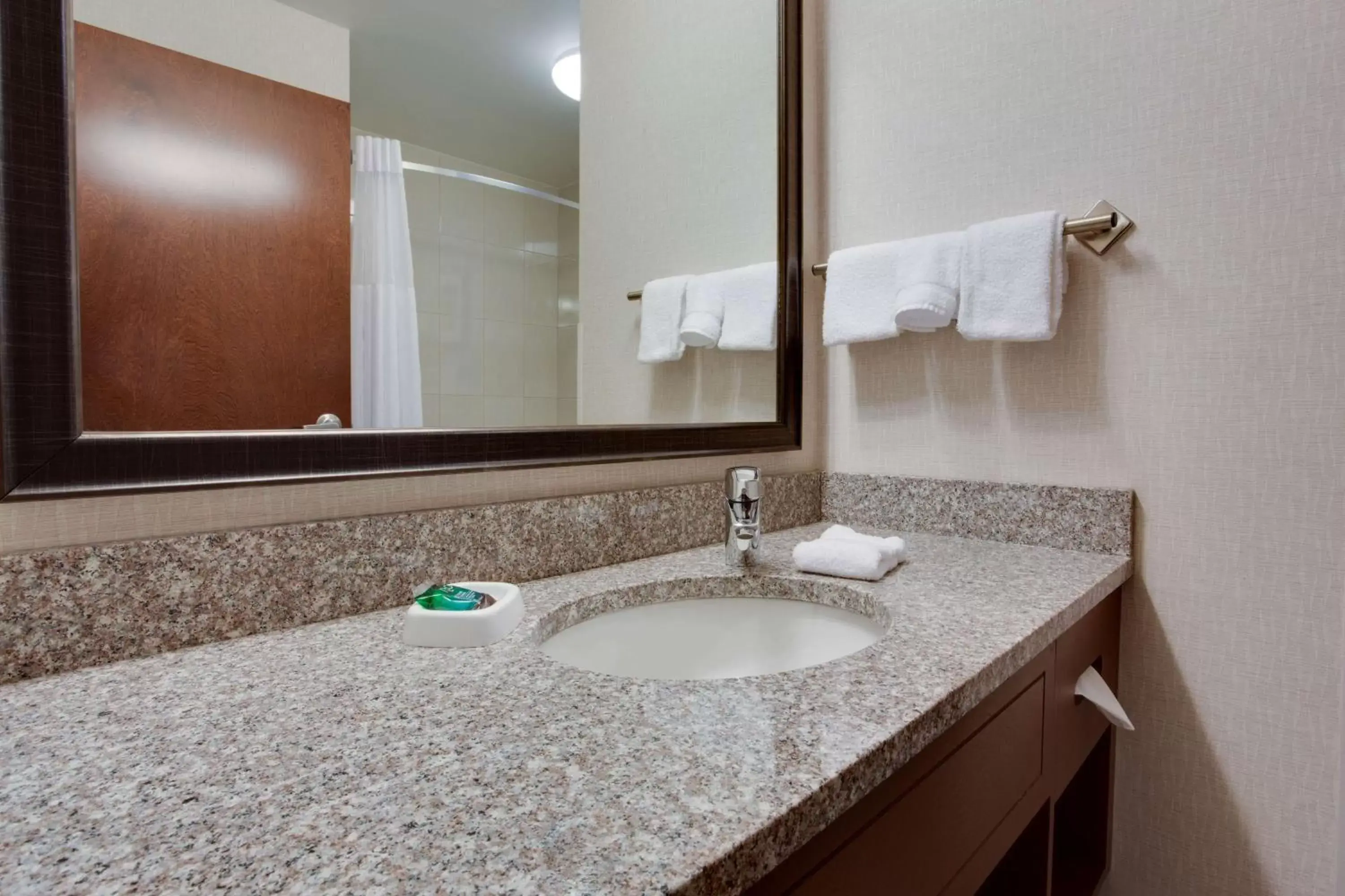 Bathroom in Drury Inn & Suites Charlotte Arrowood