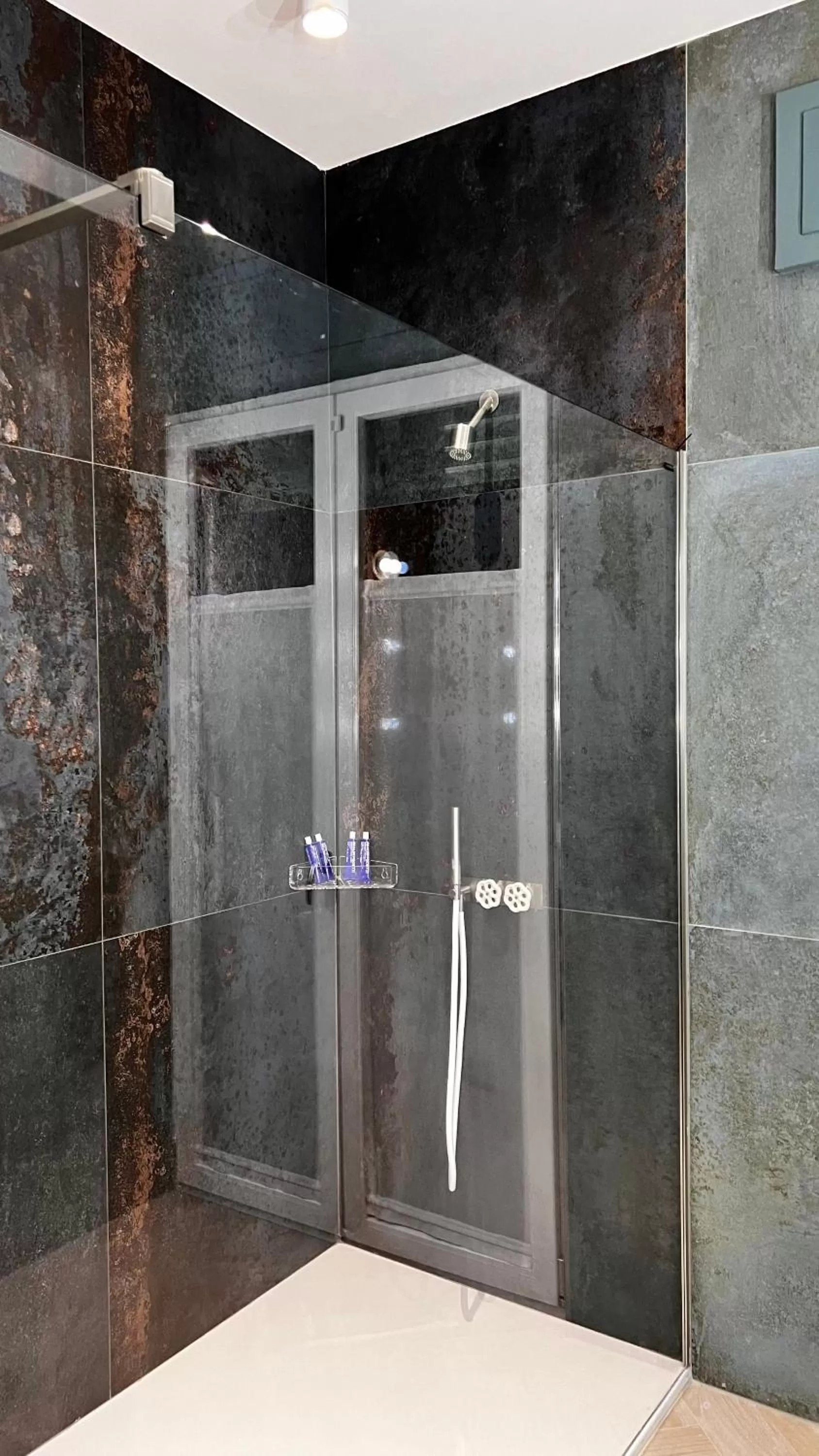 Shower in Patriziella 4 Rooms