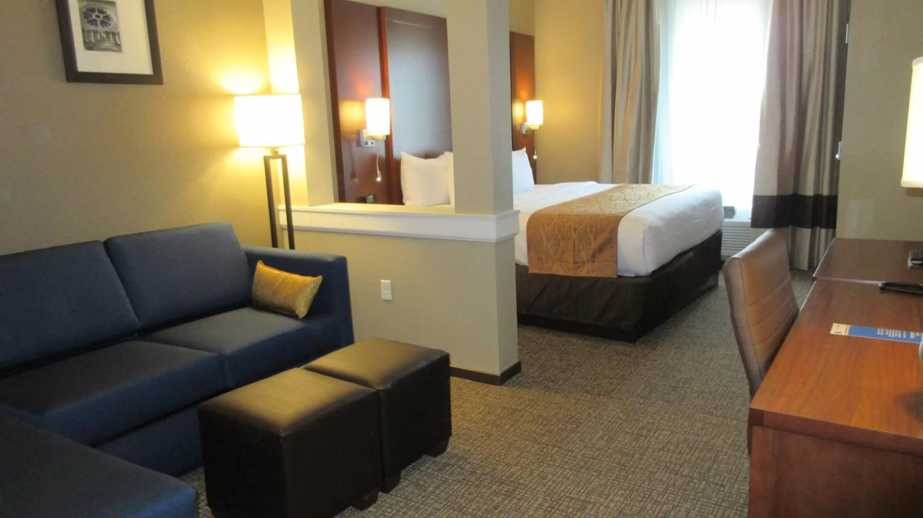 Seating Area in Comfort Inn & Suites Boise Airport