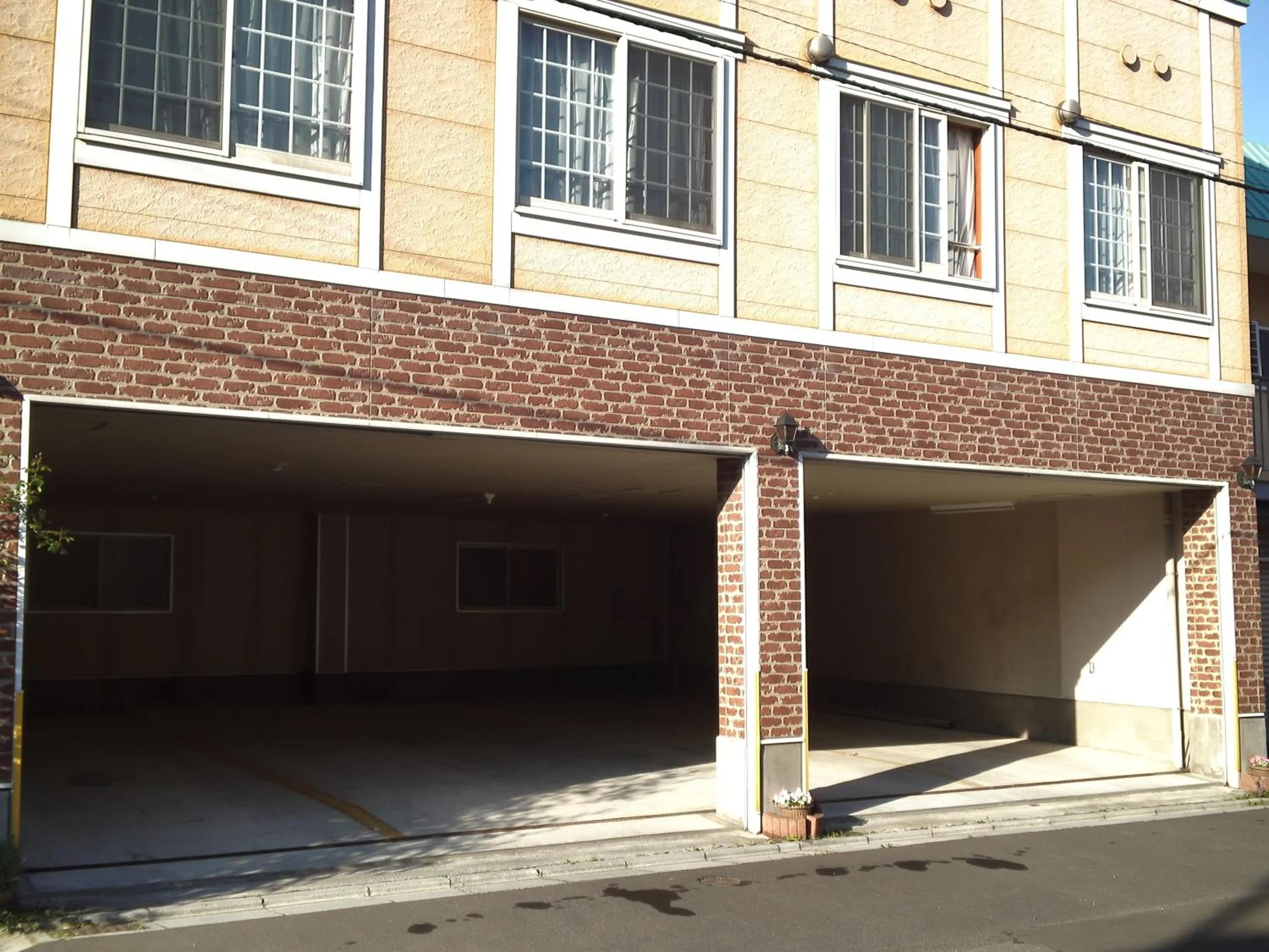 Day in Pension Puppy Tail