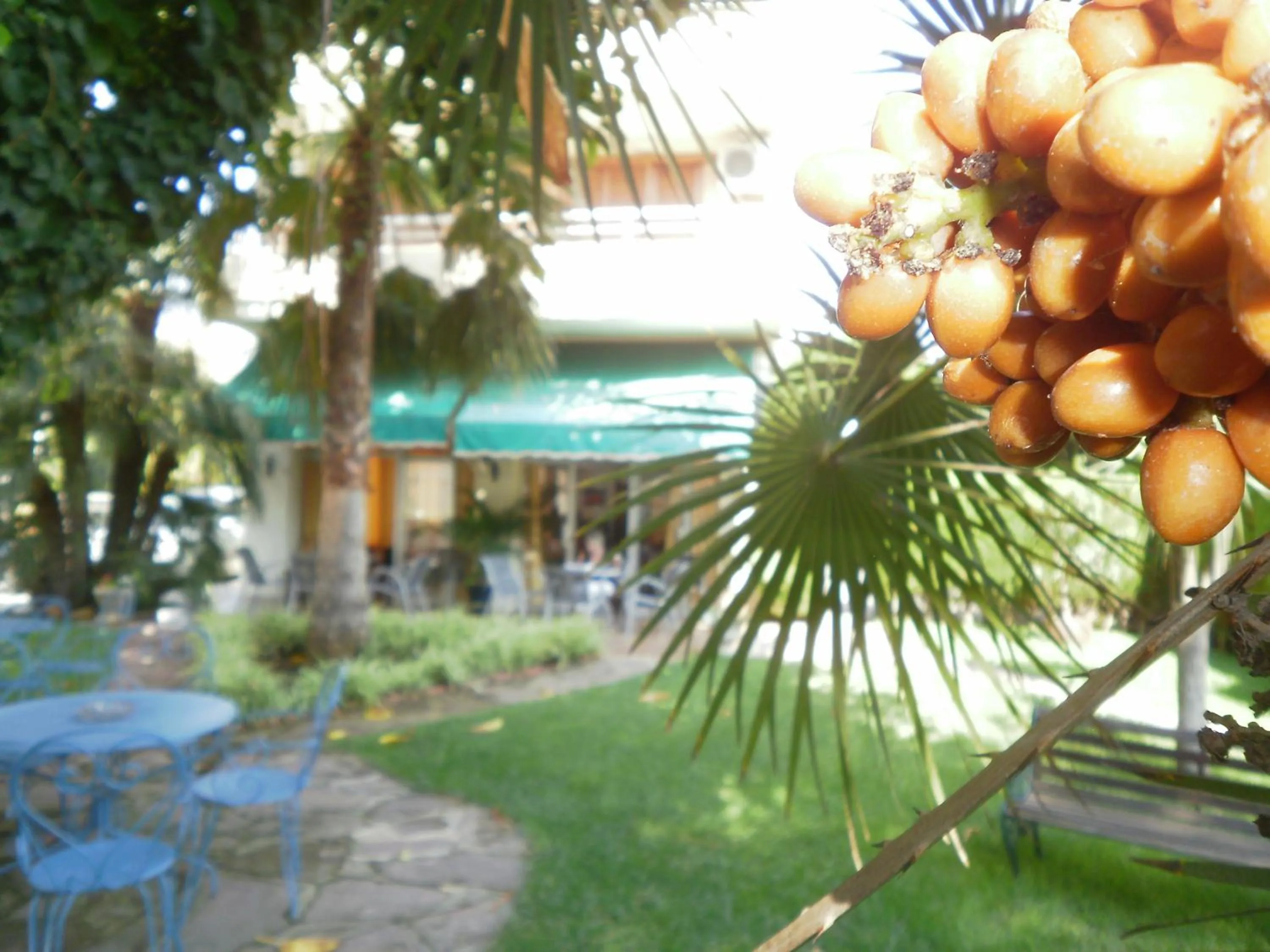 Garden in Hotel Tramontana