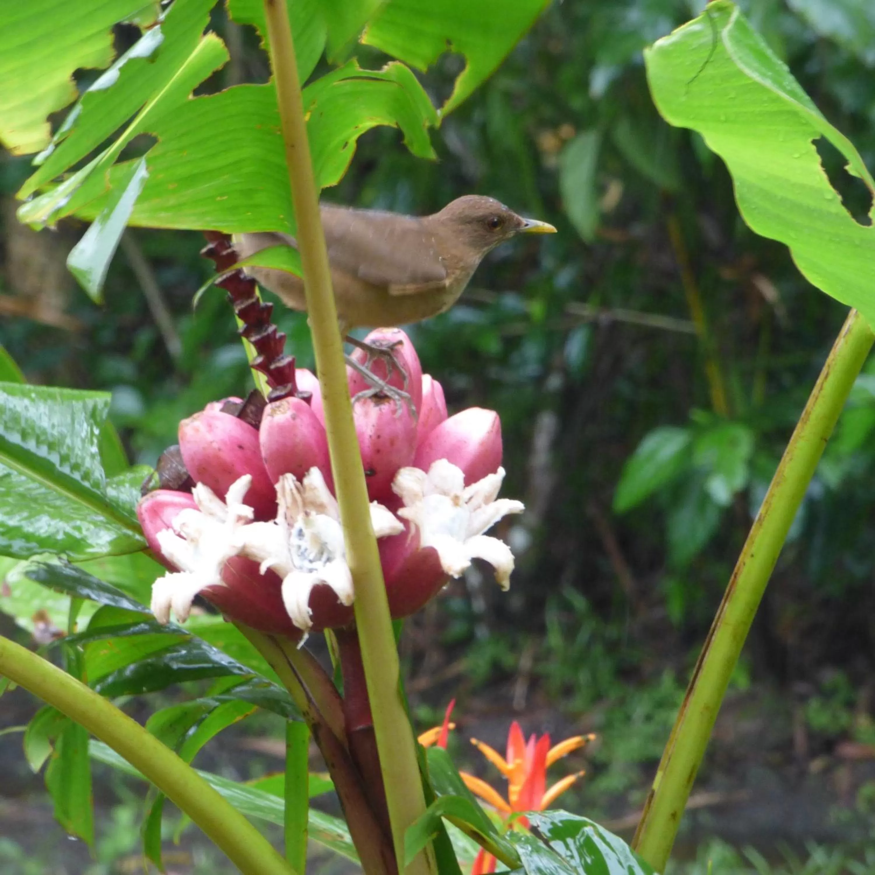 View (from property/room) in Sand Dollar Beach Bed & Breakfast