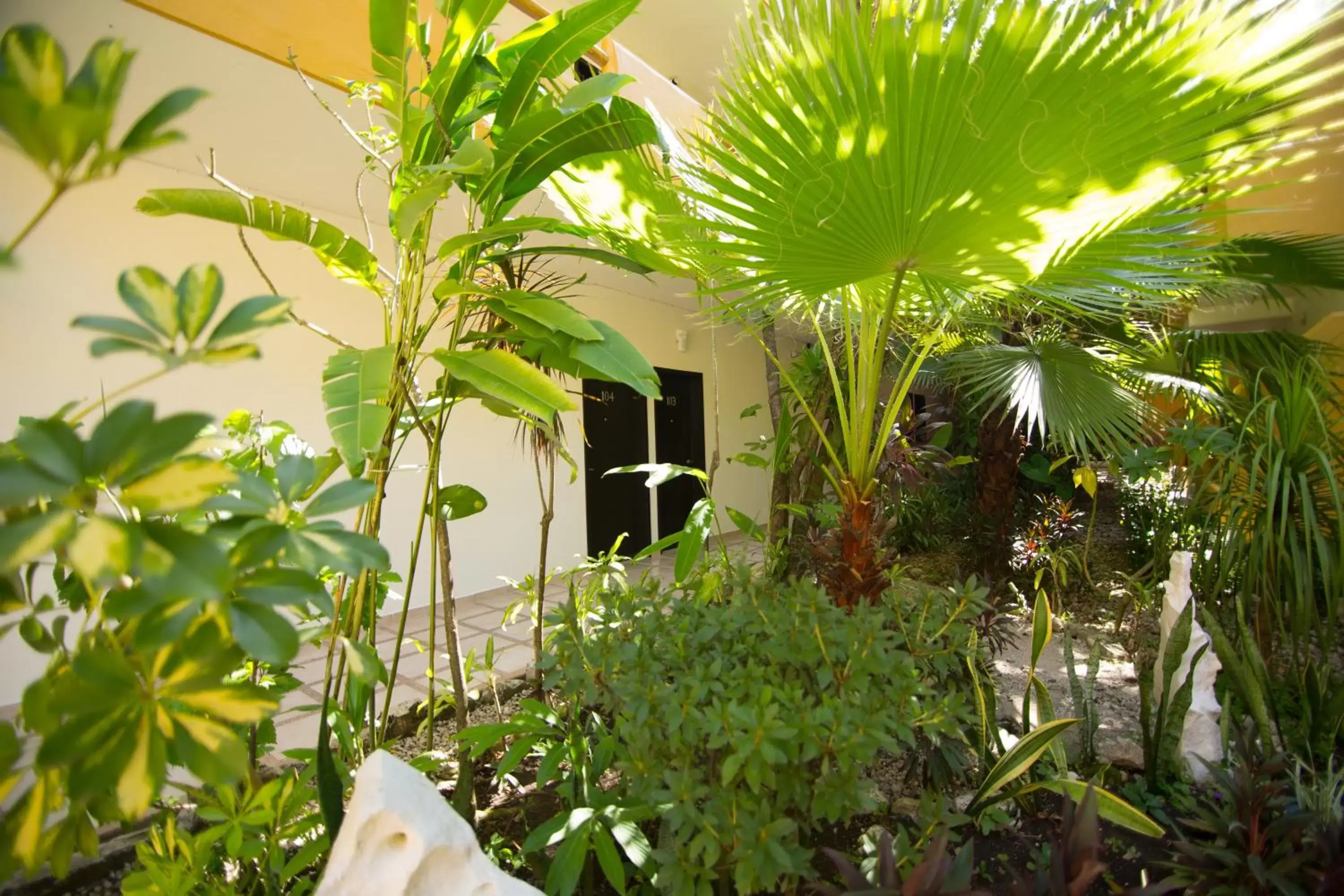 Garden, Property Building in Hotel Chablis Palenque