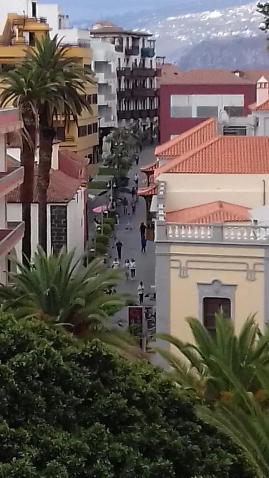 City view in Hotel Tropical City view in Hotel Tropical