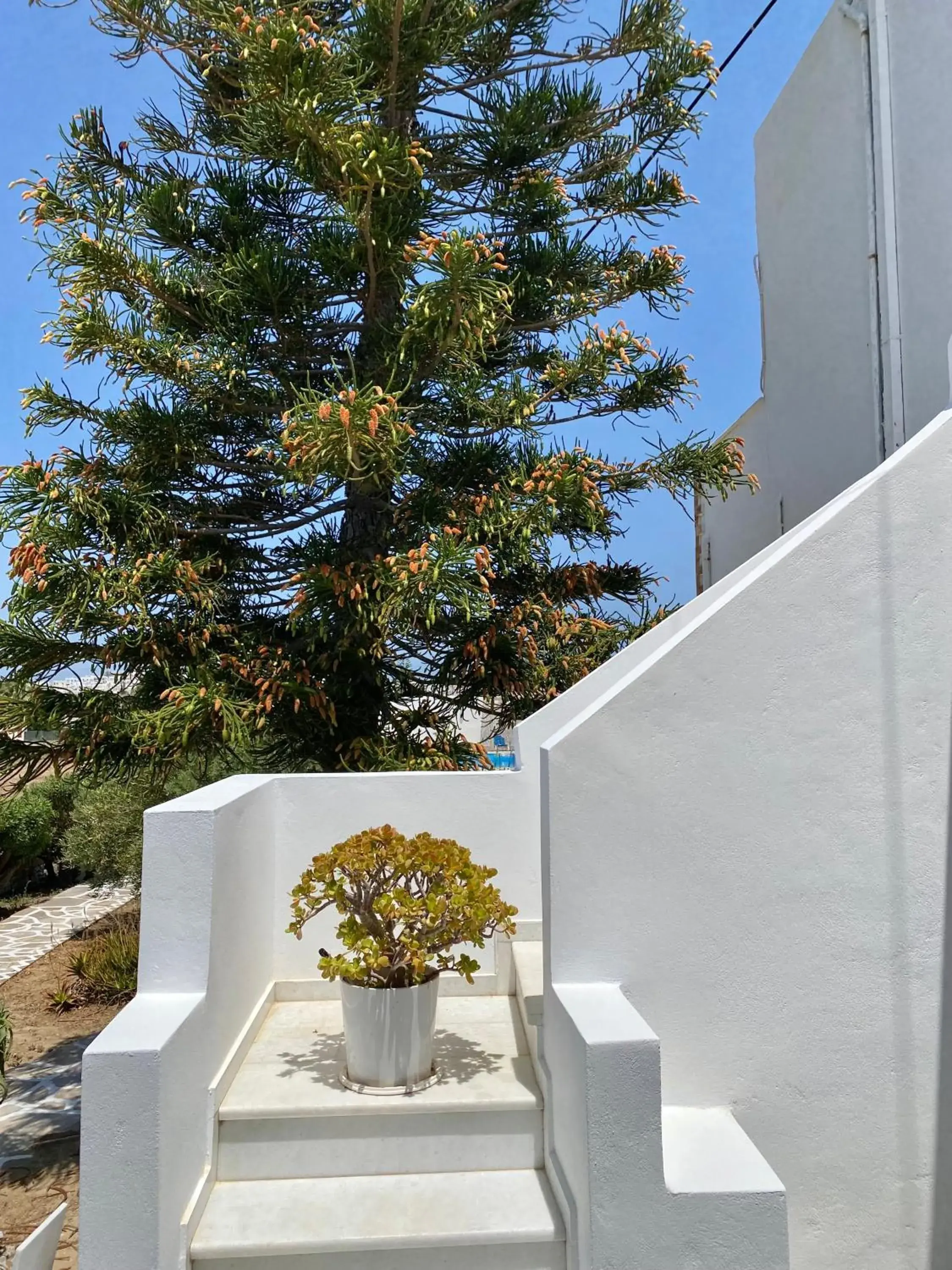 Garden view, Balcony/Terrace in Fikas Hotel