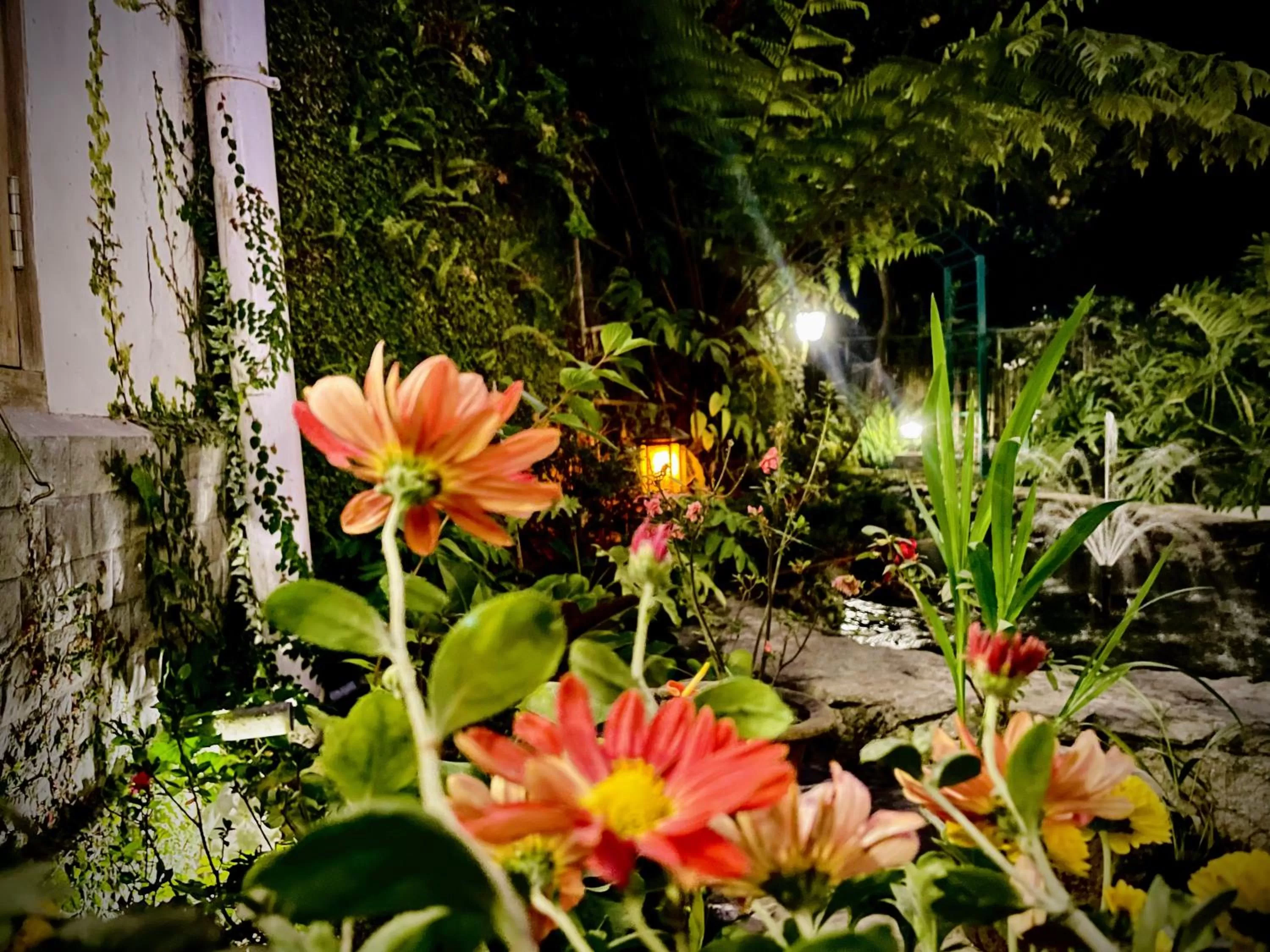 Garden in Noblestride Resort