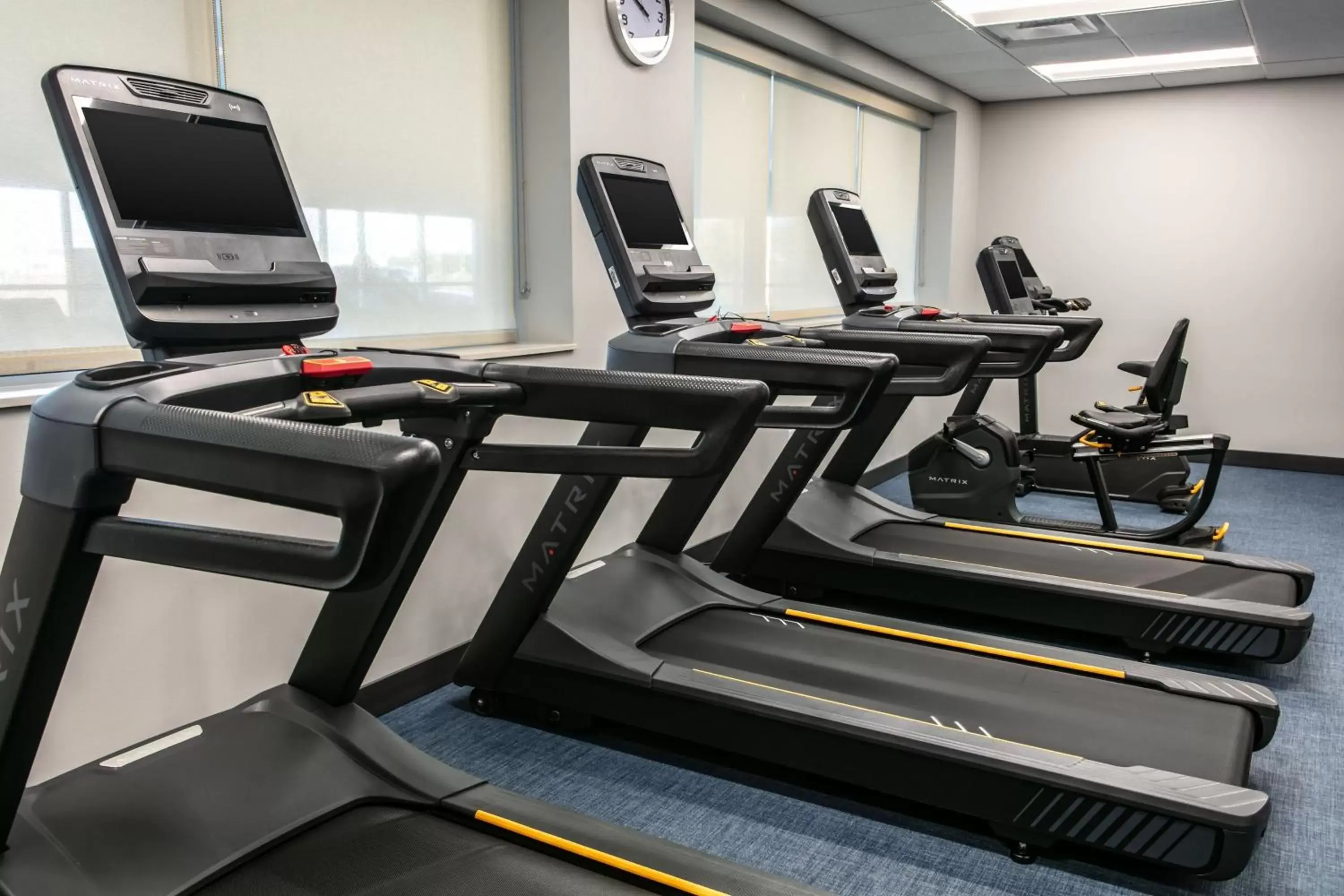 Fitness centre/facilities, Fitness Center/Facilities in TownePlace Suites by Marriott Madison West, Middleton