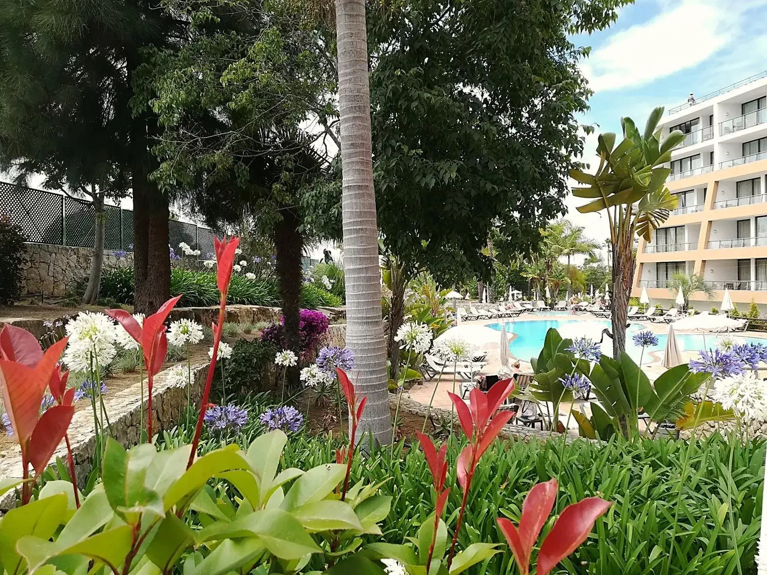 Garden, Swimming Pool in Pestana Alvor Park Hotel Apartamento