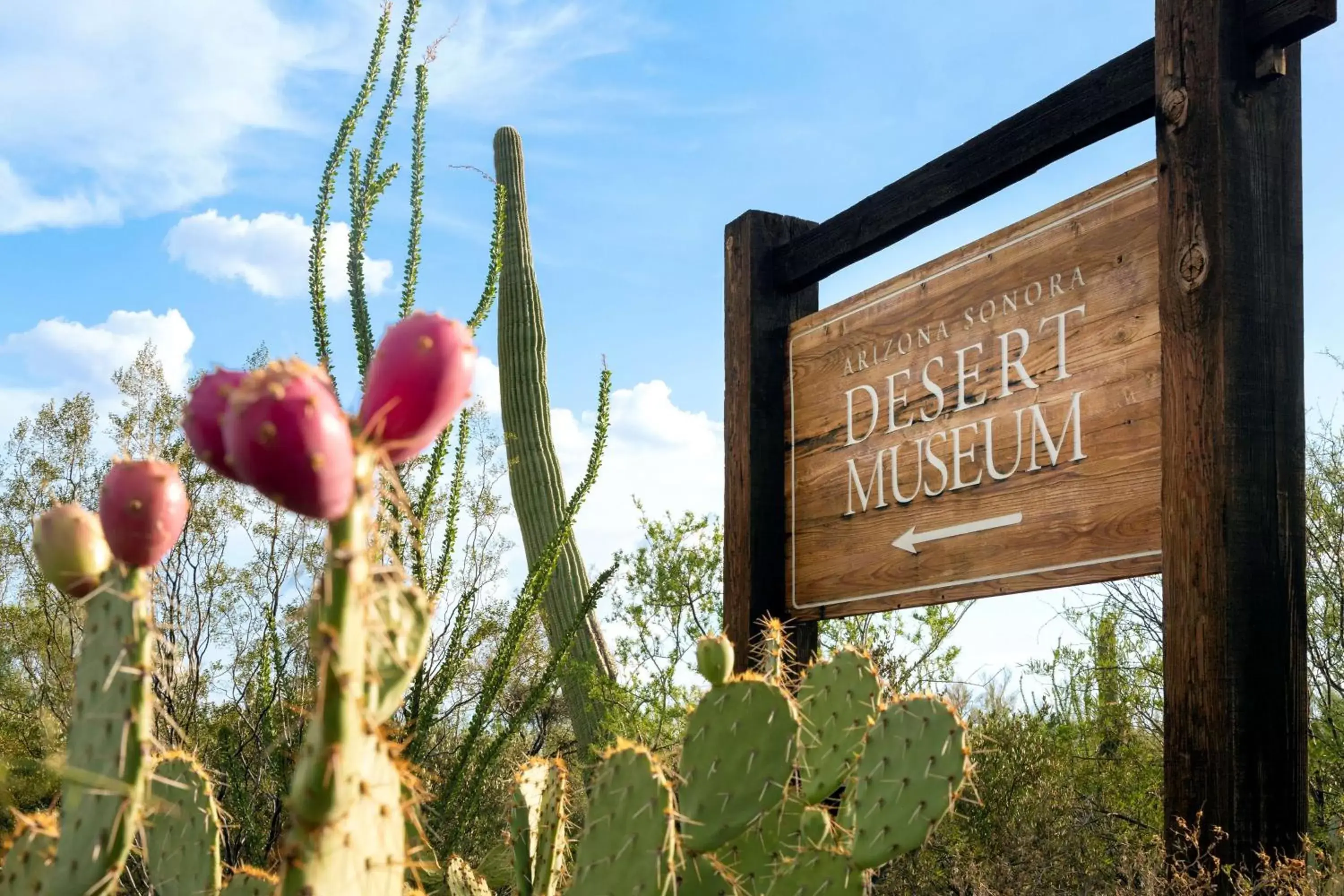 Off site, Property Logo/Sign in Hyatt Place Tucson Central