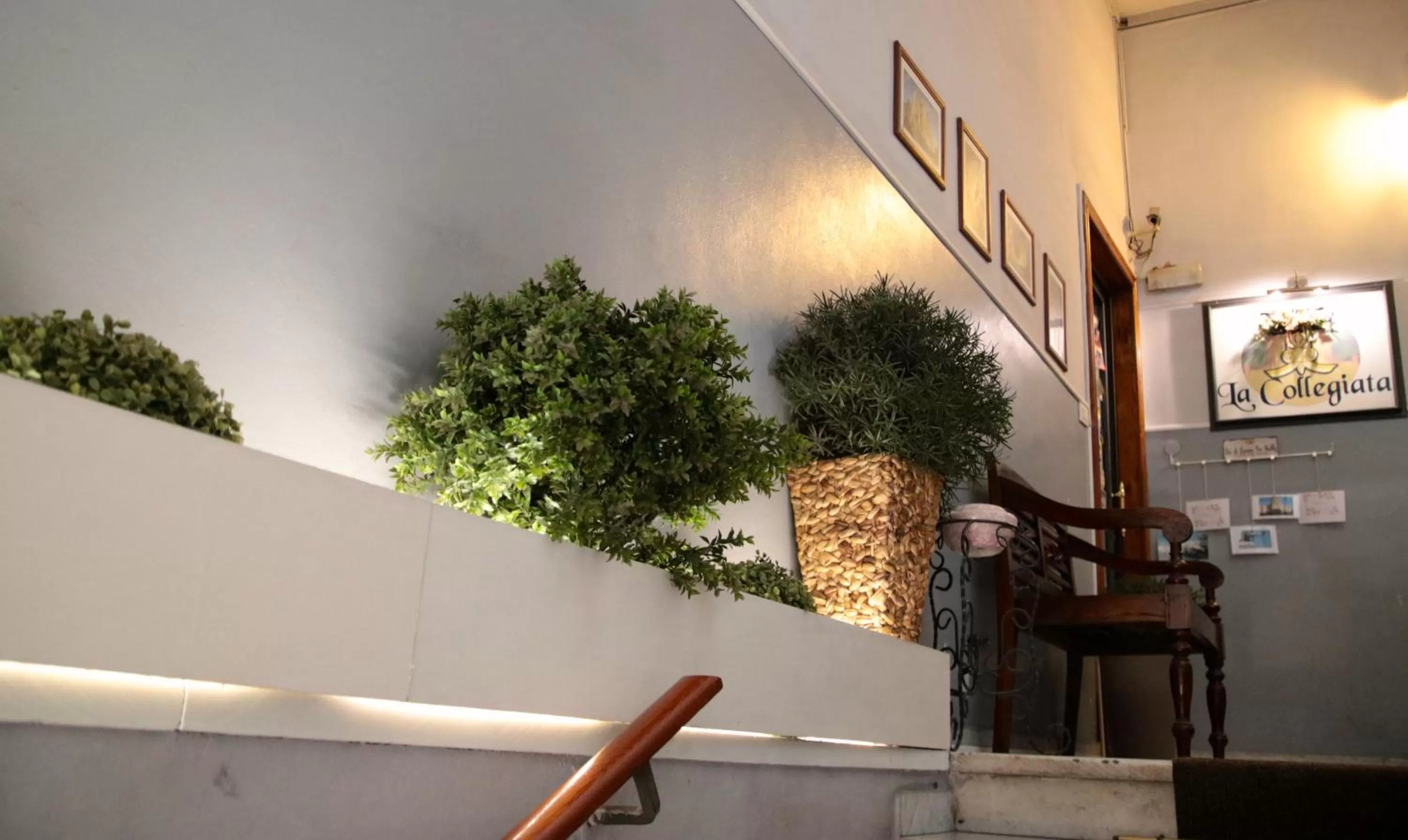 Logo/Certificate/Sign in La Collegiata Guest House