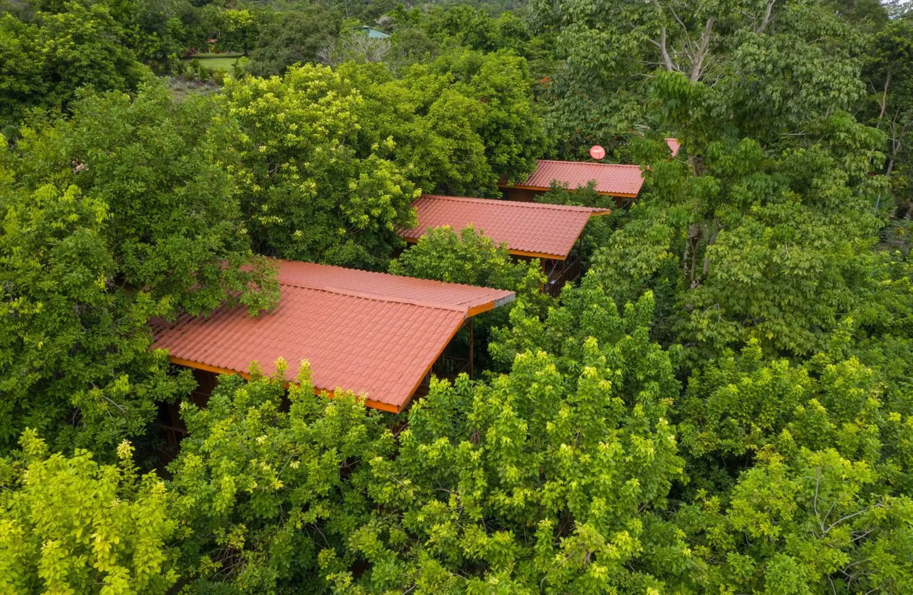 Natural landscape, Bird's-eye View in Hotel Heliconias Nature Inn & Hot Springs