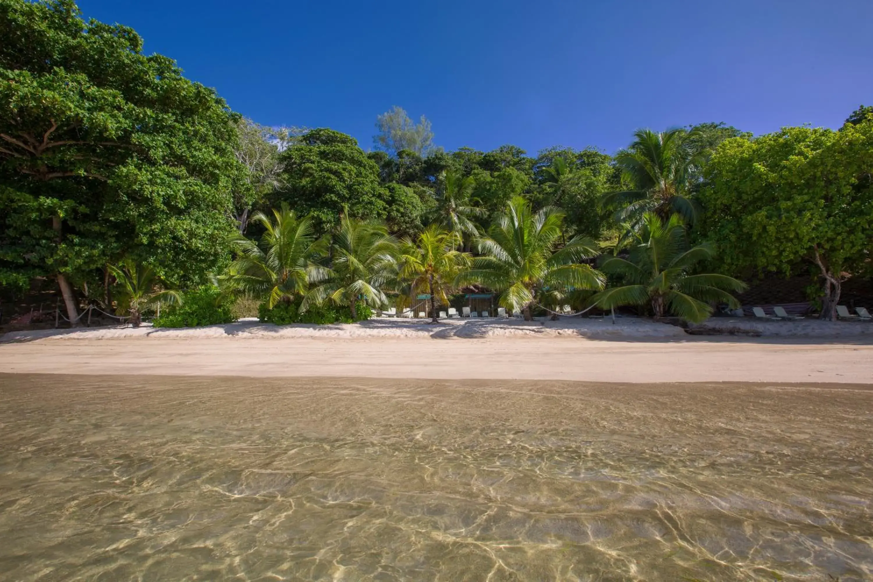 Natural landscape, Beach in Coco de Mer and Black Parrot Suites