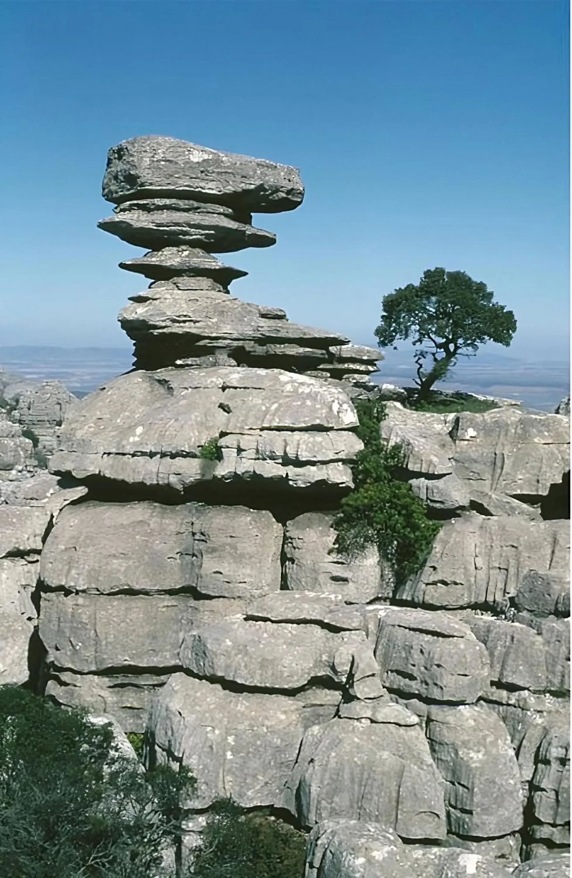 Nearby landmark in Hostal Colon Antequera