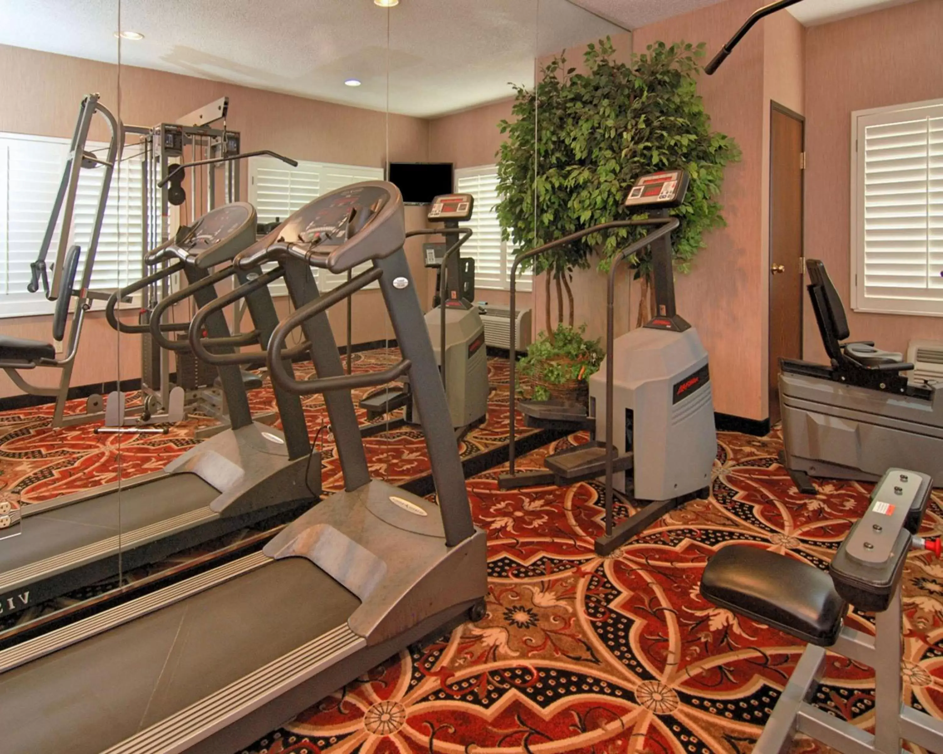 Fitness centre/facilities, Fitness Center/Facilities in Best Western Plus Southpark Inn & Suites