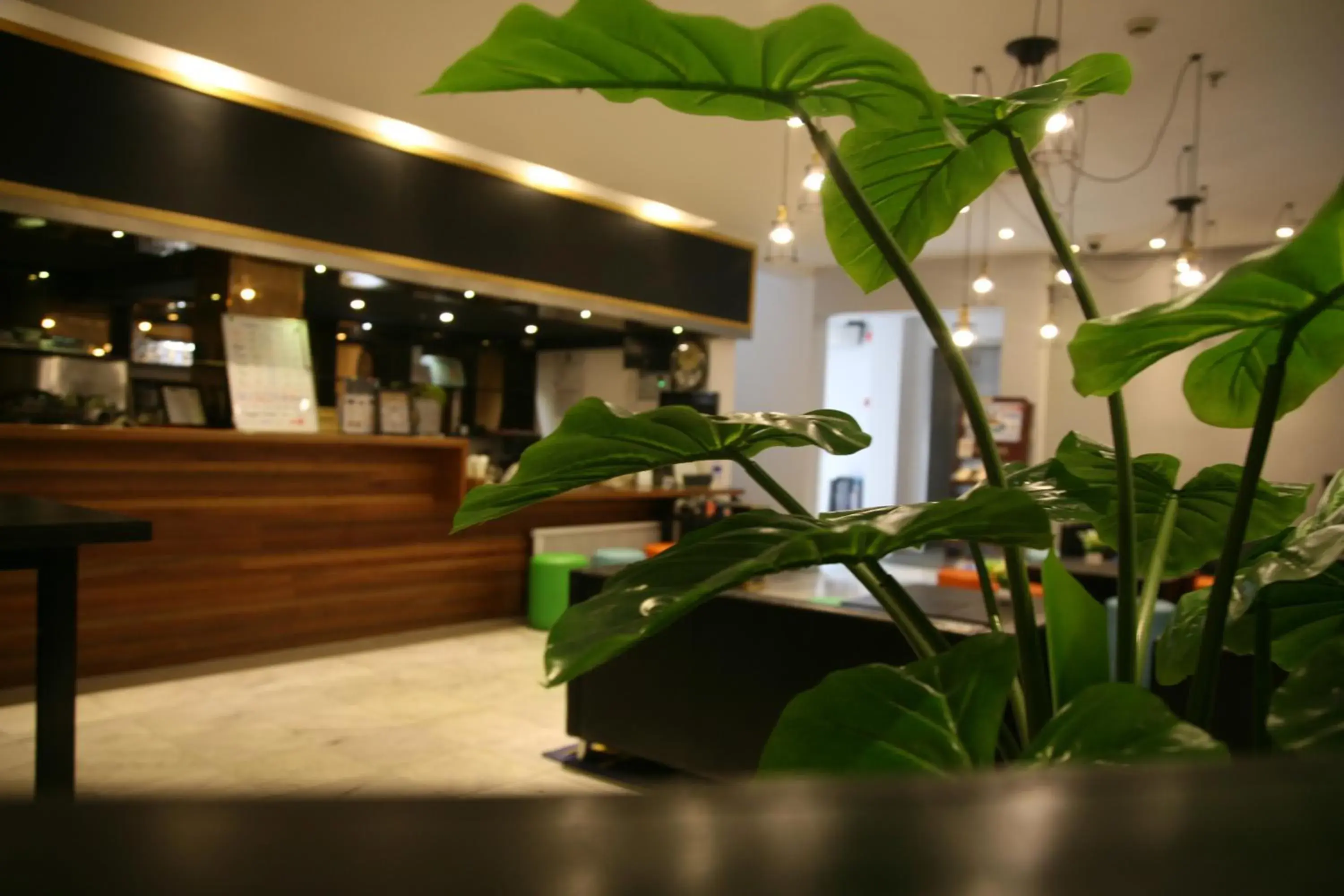 Lobby or reception in Shanghai Fish Inn Bund Lobby or reception in Shanghai Fish Inn Bund