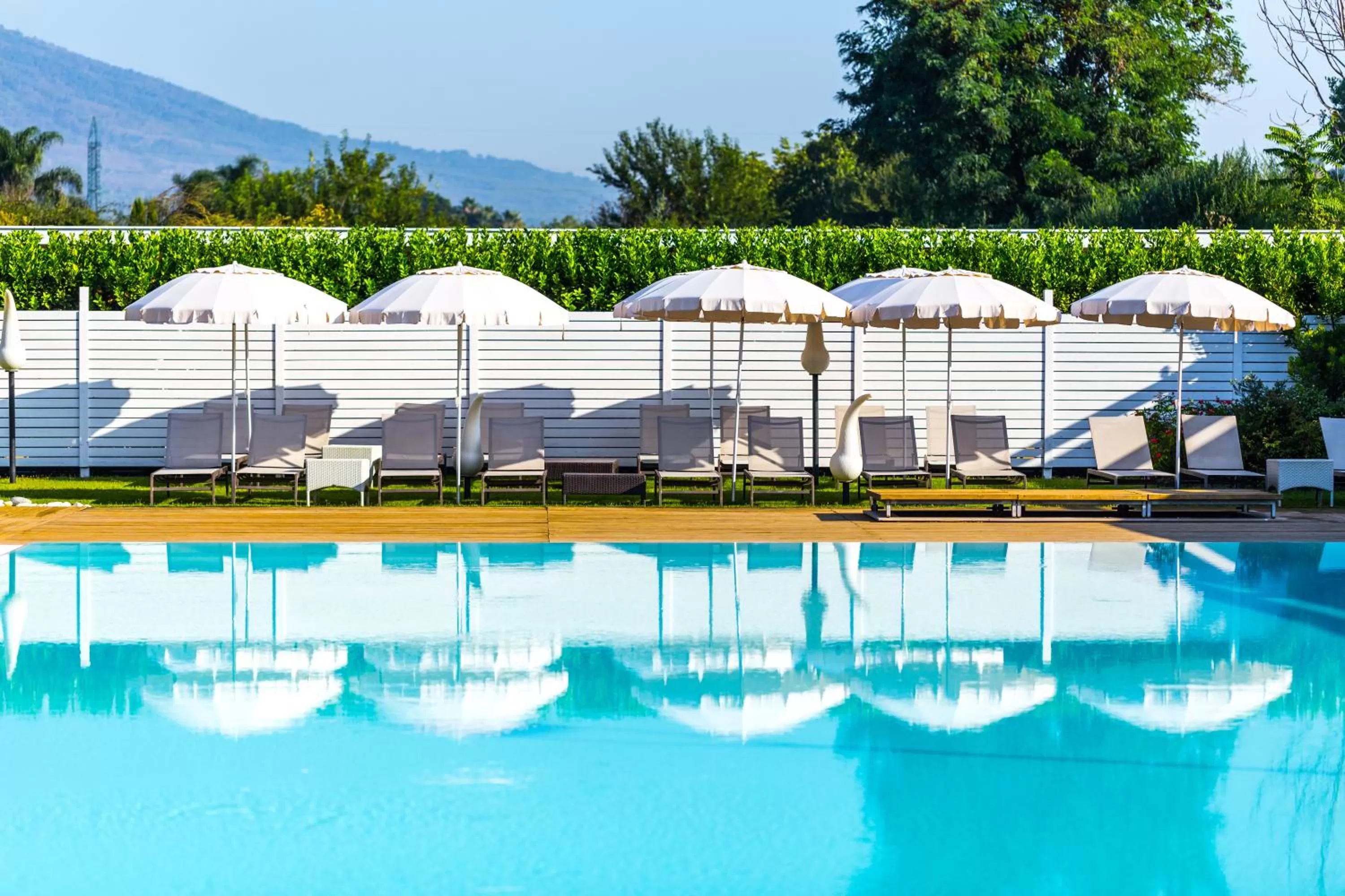 Swimming pool in Resort & Winery Bosco De Medici