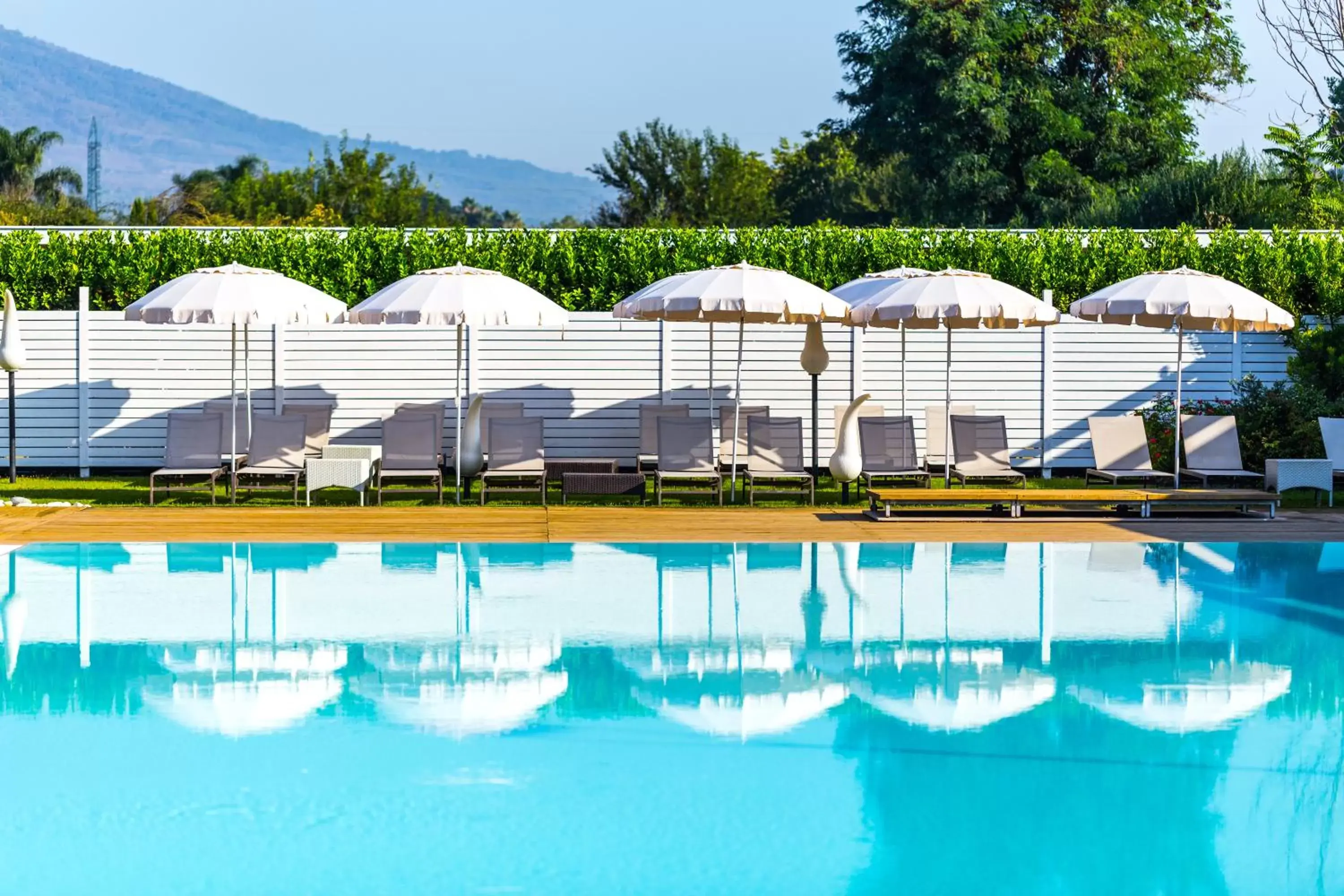 Swimming Pool in Resort & Winery Bosco De Medici