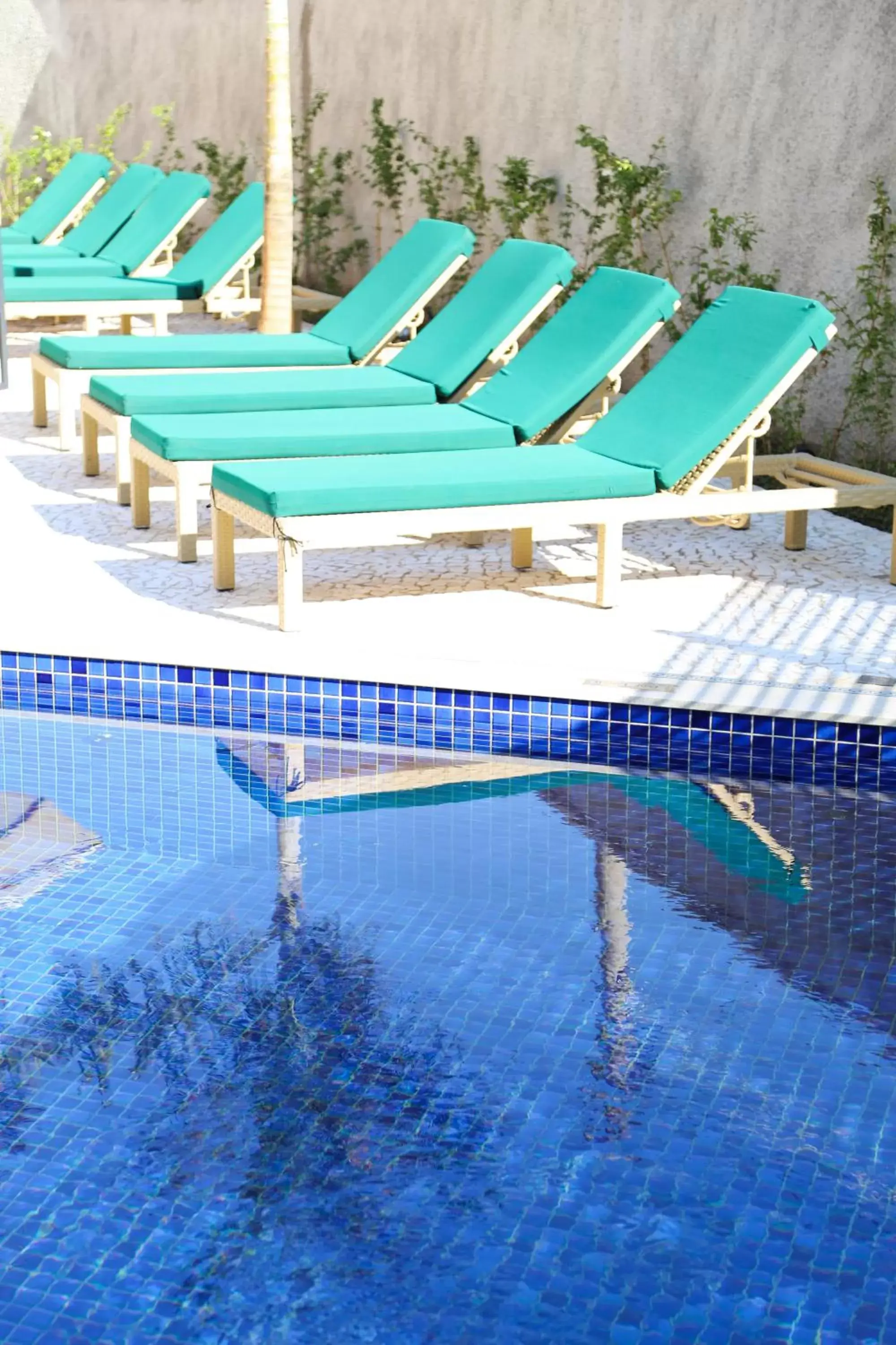 Day, Swimming Pool in Vitória Hotel Express Dom Pedro