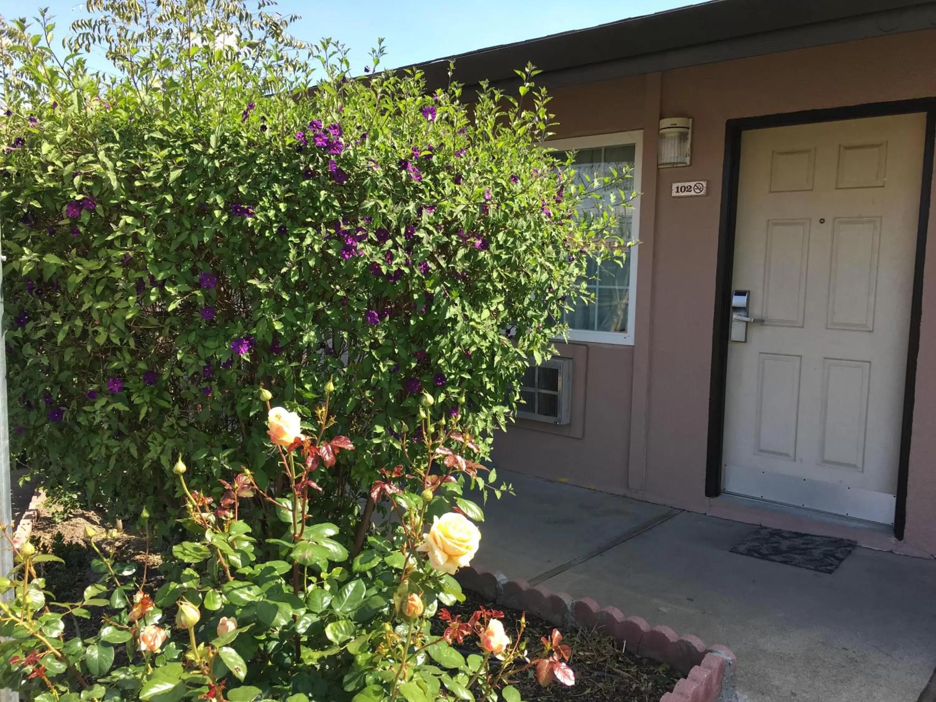 Facade/Entrance in Maple Inn and Suites Los Banos