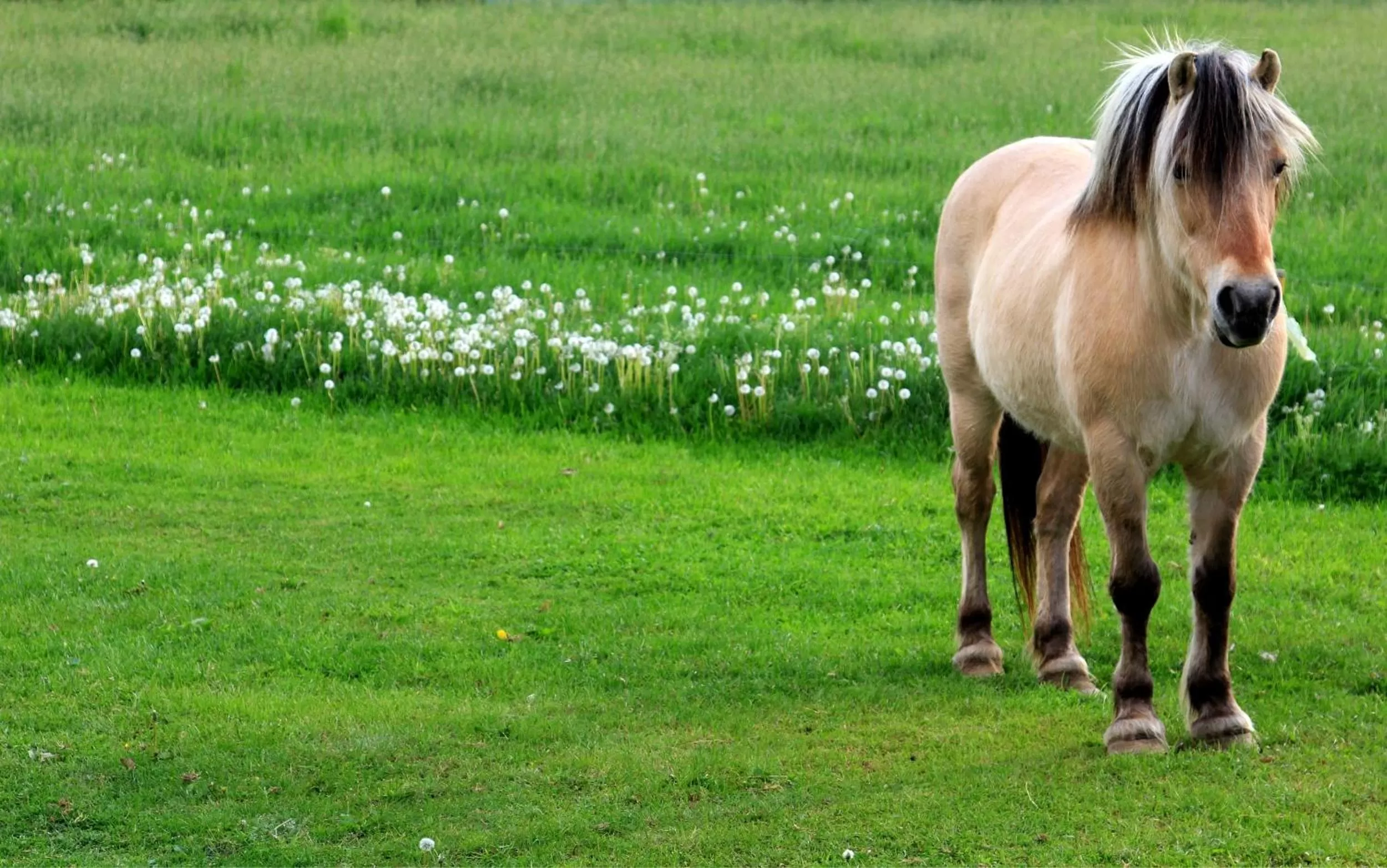 Area and facilities in B&B Laurus