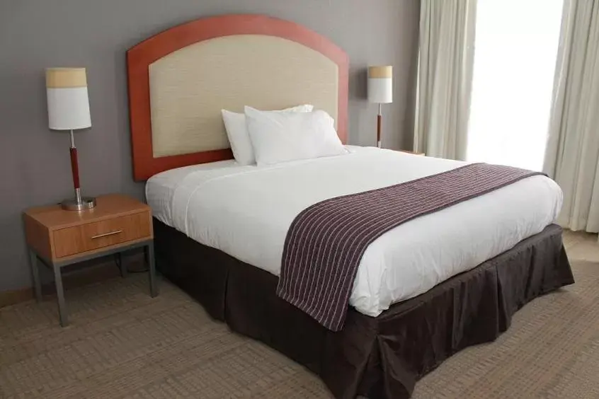 Bedroom, Bed in Holiday Inn Express St. Louis Central West End, an IHG Hotel