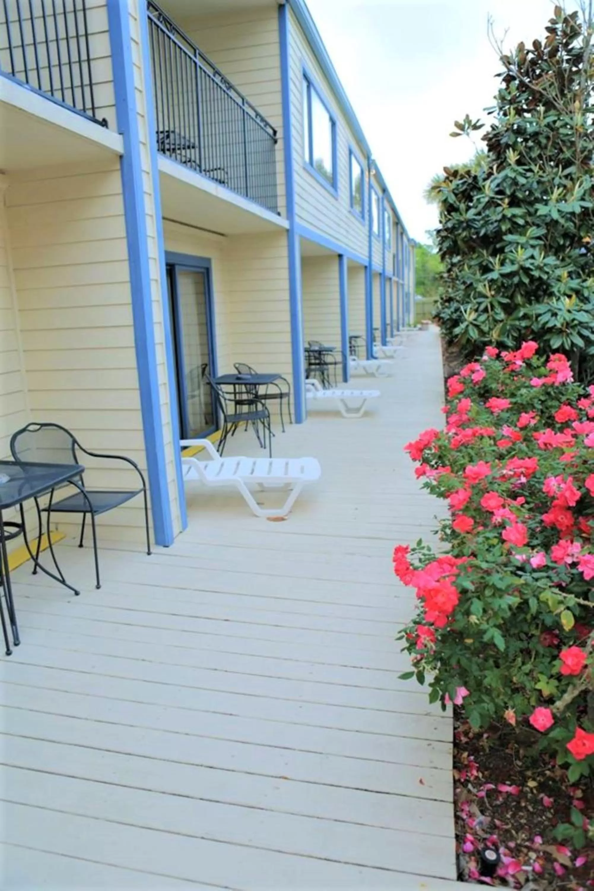 Patio in Royal Holiday Beach Resort