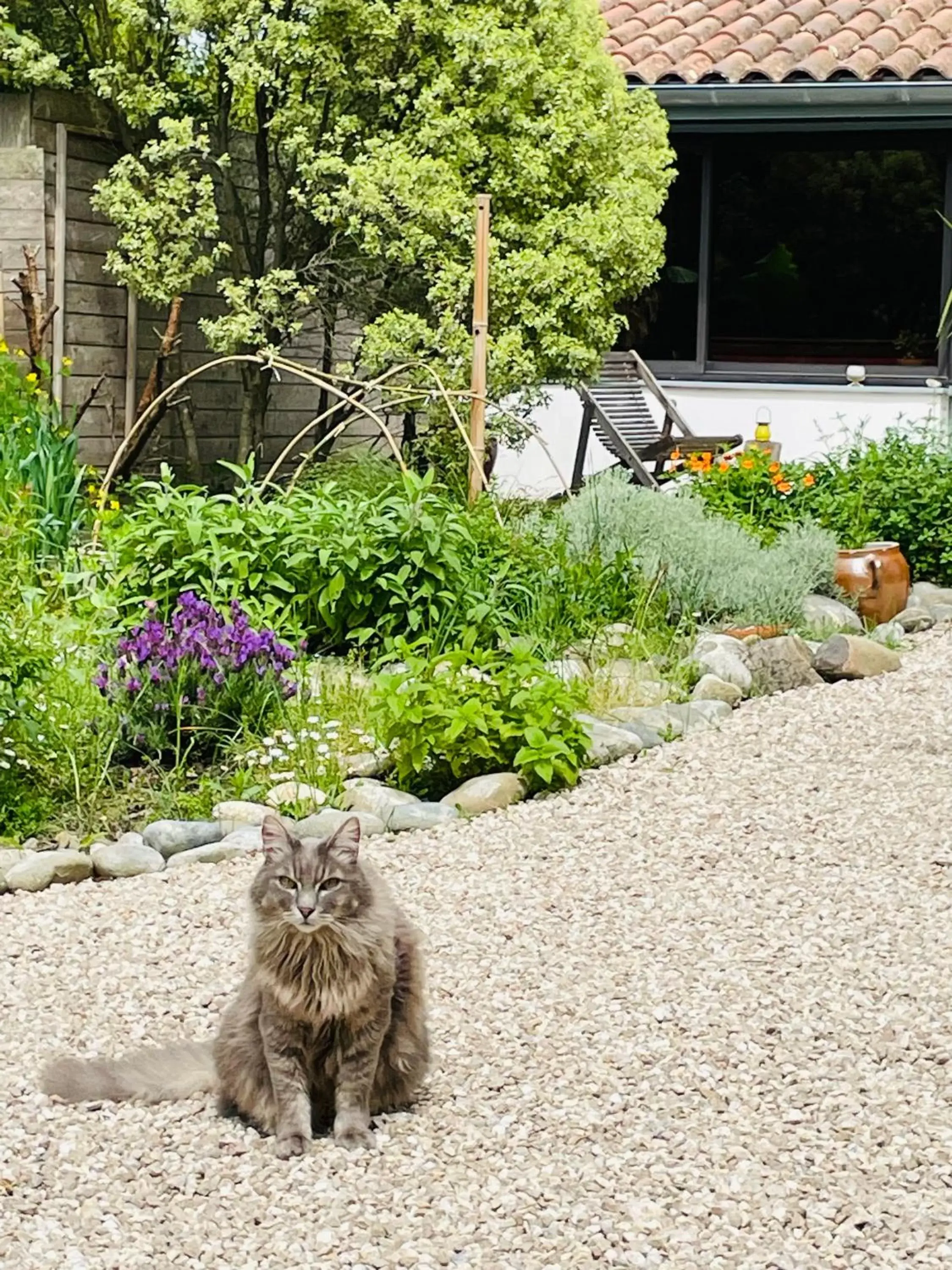 Pets in La Poterie