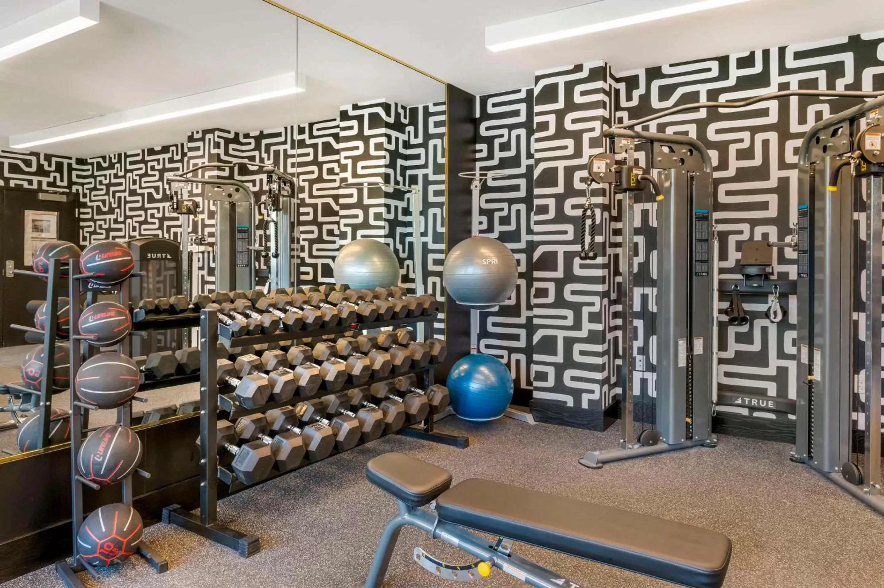 Fitness centre/facilities, Fitness Center/Facilities in Cambria Hotel Detroit Downtown