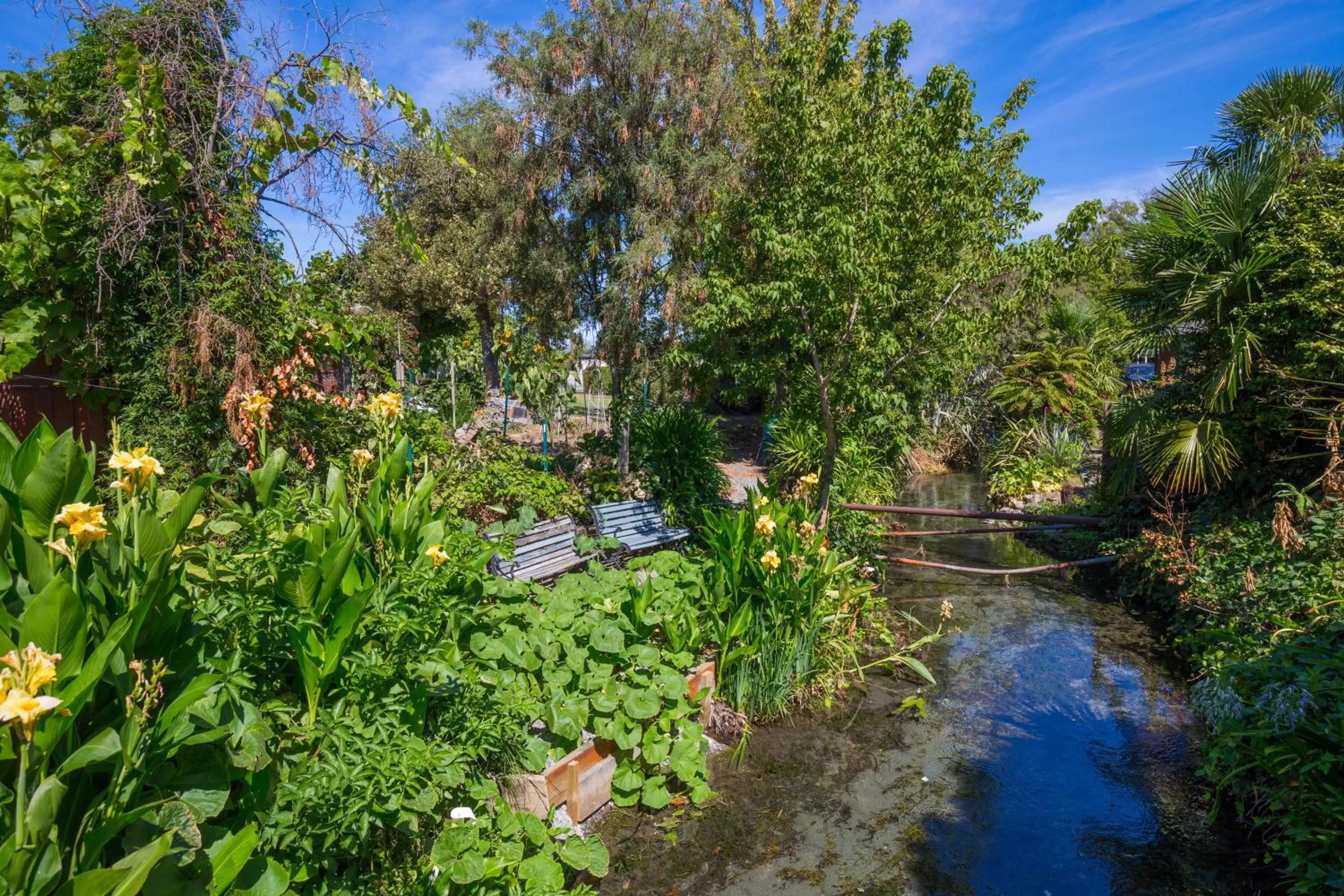 Garden in Middle Park Motel