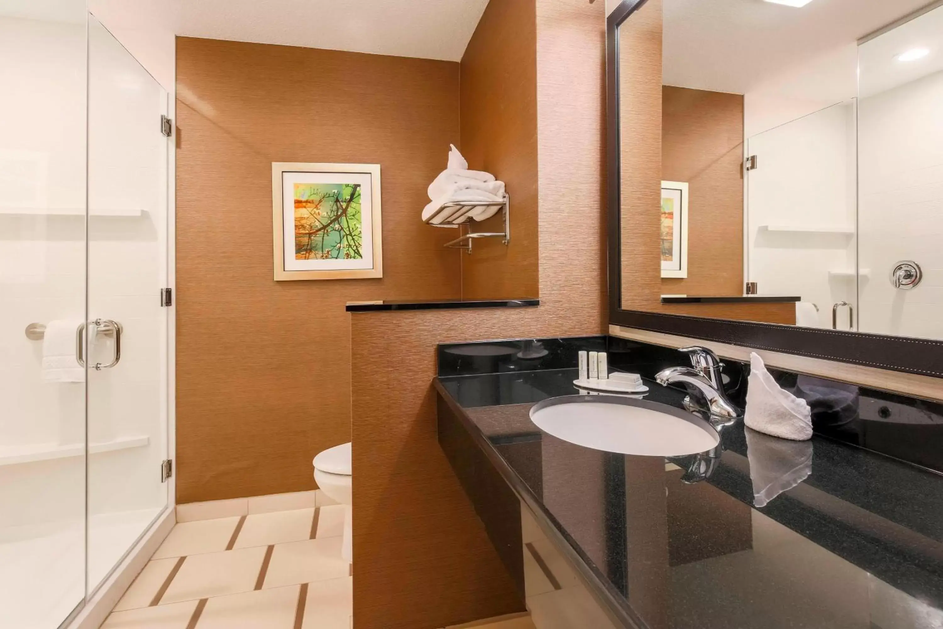 Bathroom in Fairfield Inn & Suites by Marriott Pleasanton