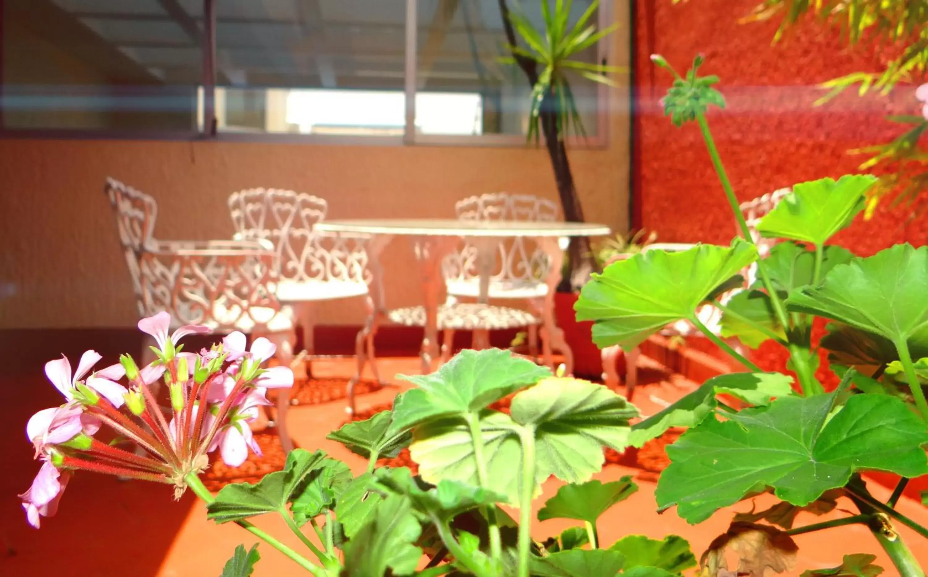 Patio in Hotel Fuente Del Bosque