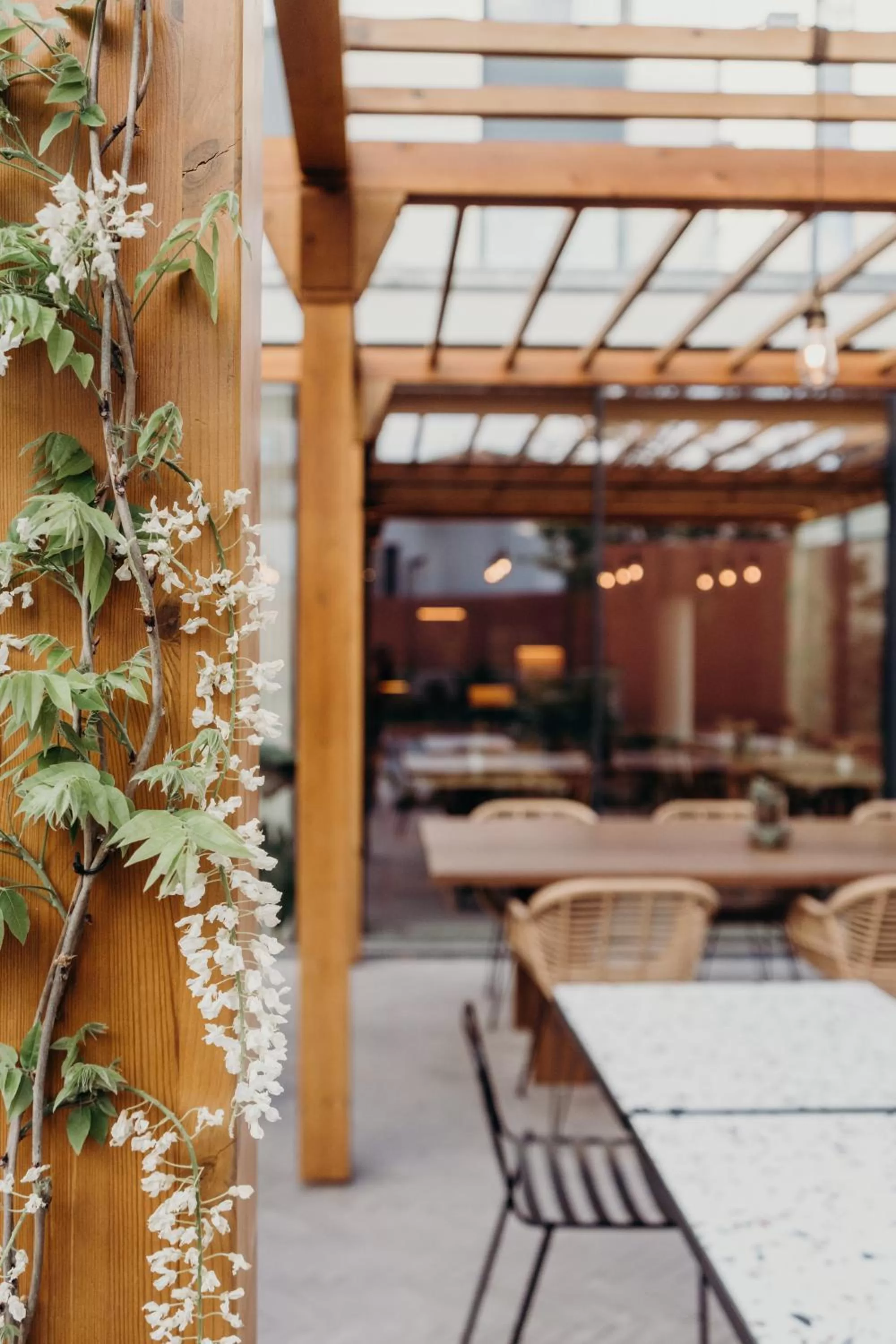 Off site in The Editory Garden Porto Hotel