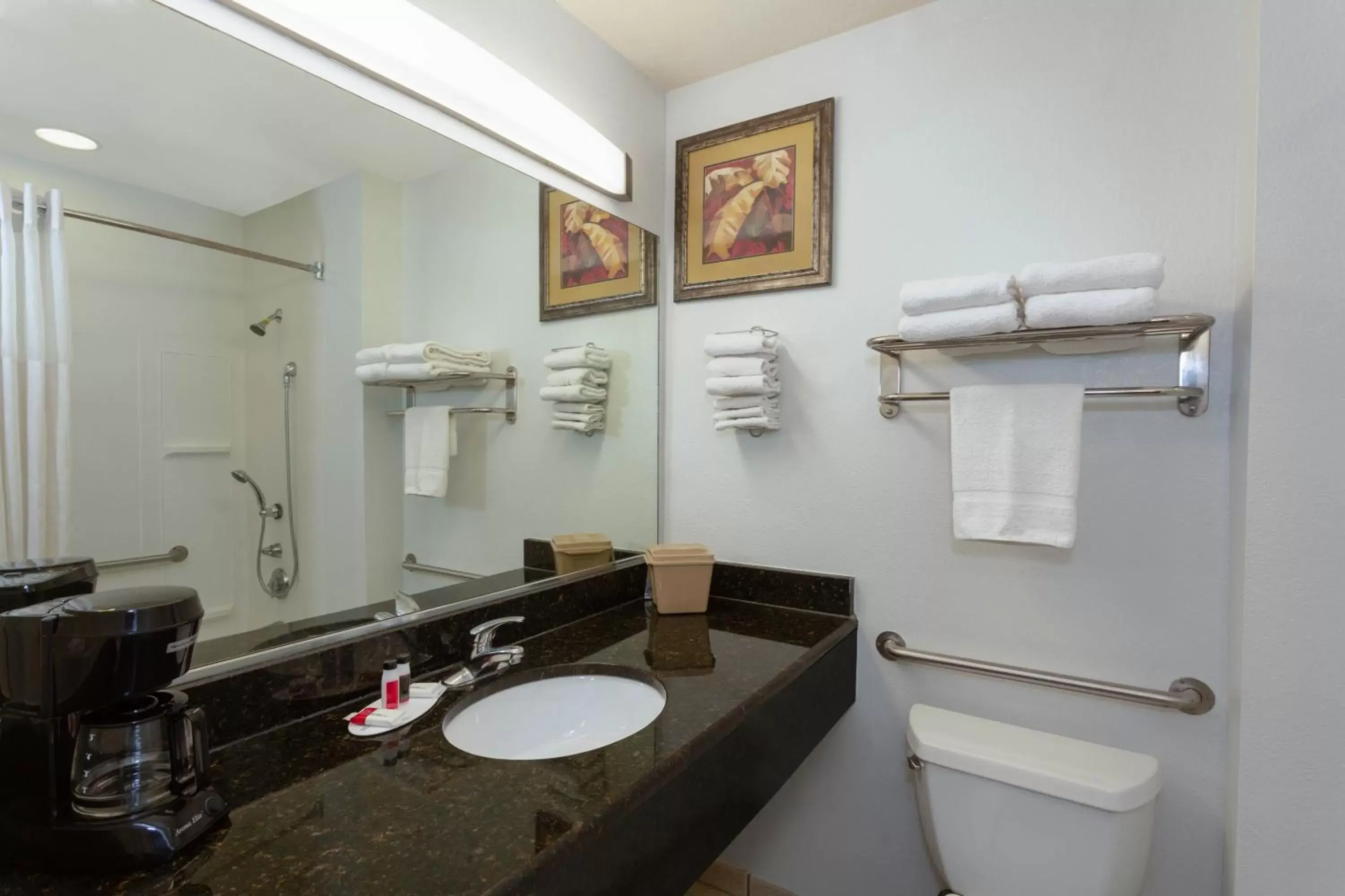 Toilet, Bathroom in Days Inn & Suites by Wyndham Lakeland