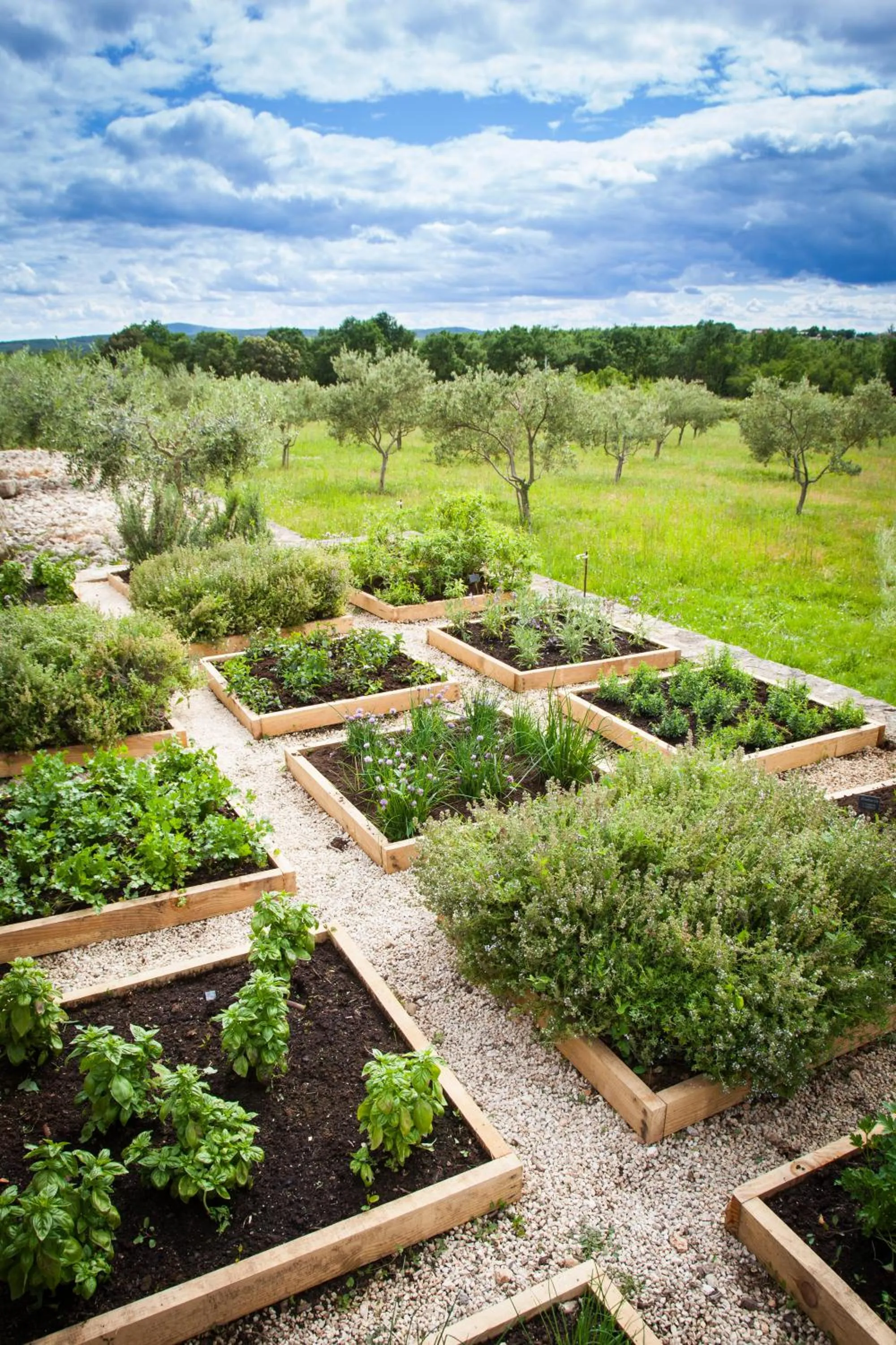 Garden in Le Mas du Terme
