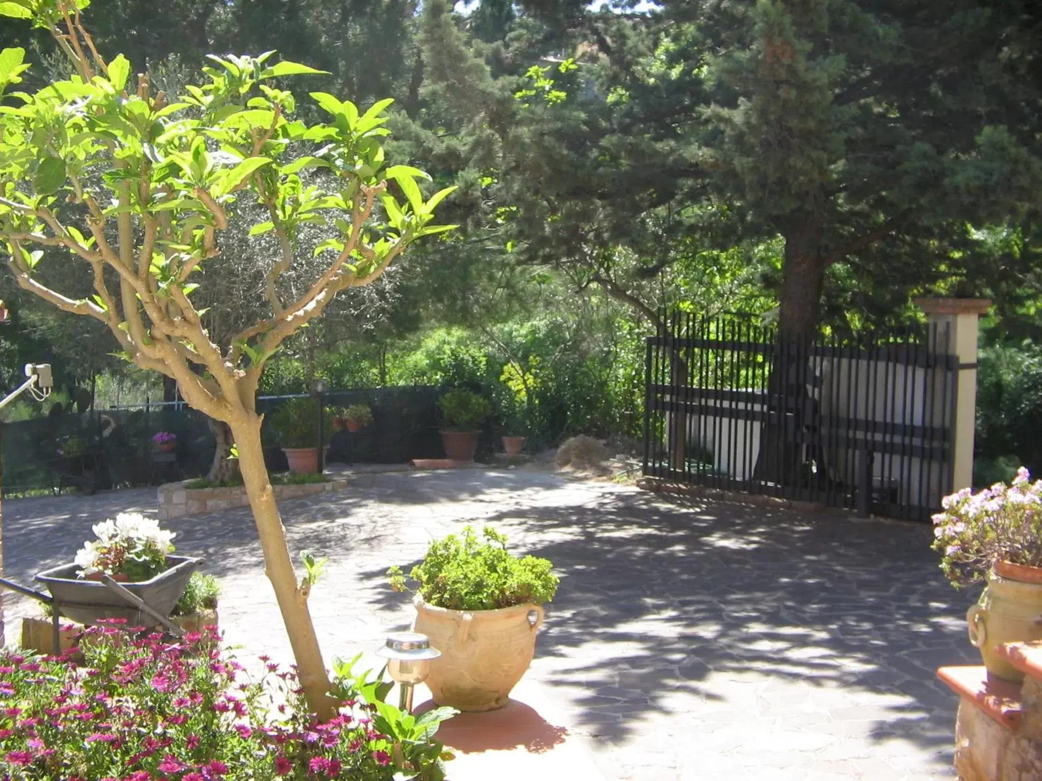 Facade/entrance, Patio/Outdoor Area in B&B Villa Letizia