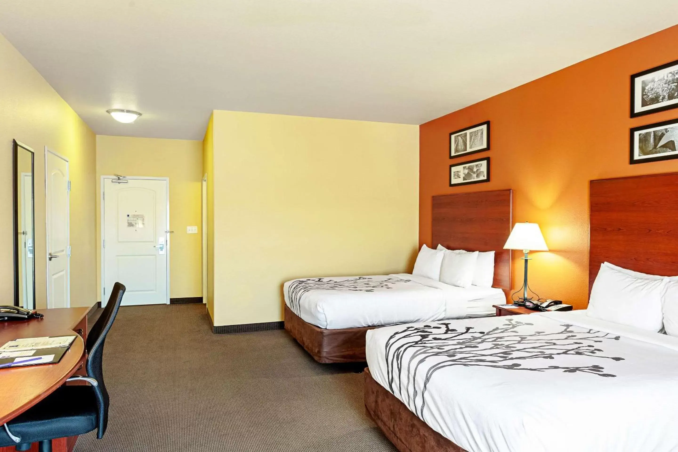 Photo of the whole room, Bed in Sleep Inn & Suites Tyler